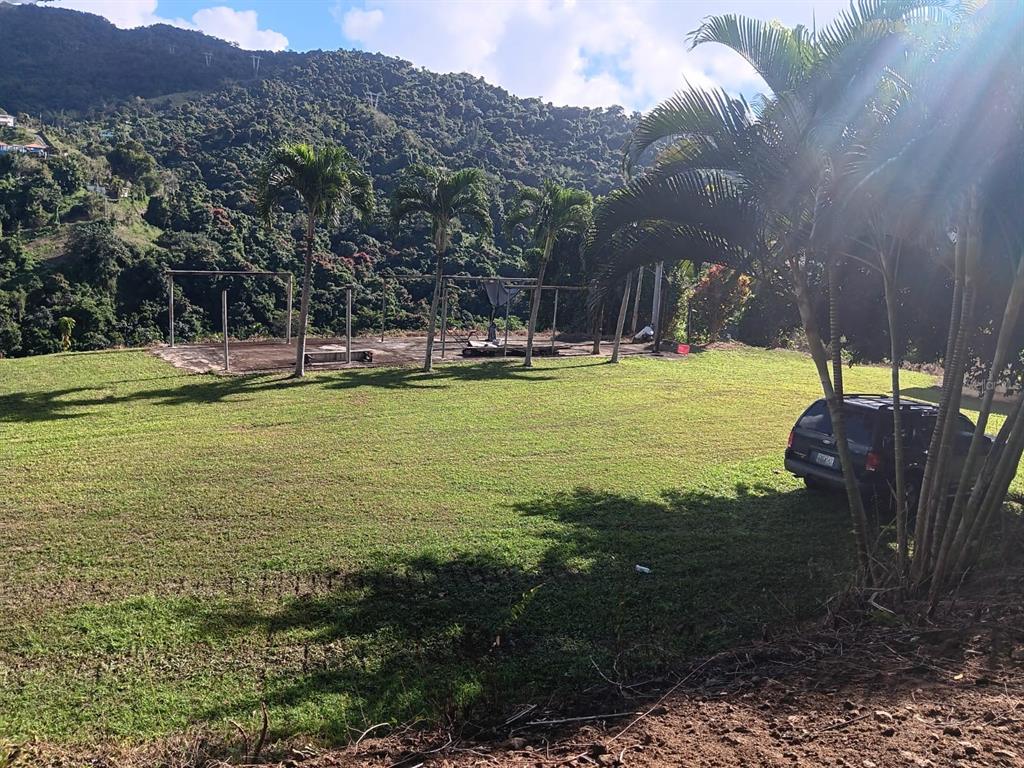 184 Bo Mulas Patillas, PR 00723 - Photo 4 of 28 a view of a swimming pool with a garden