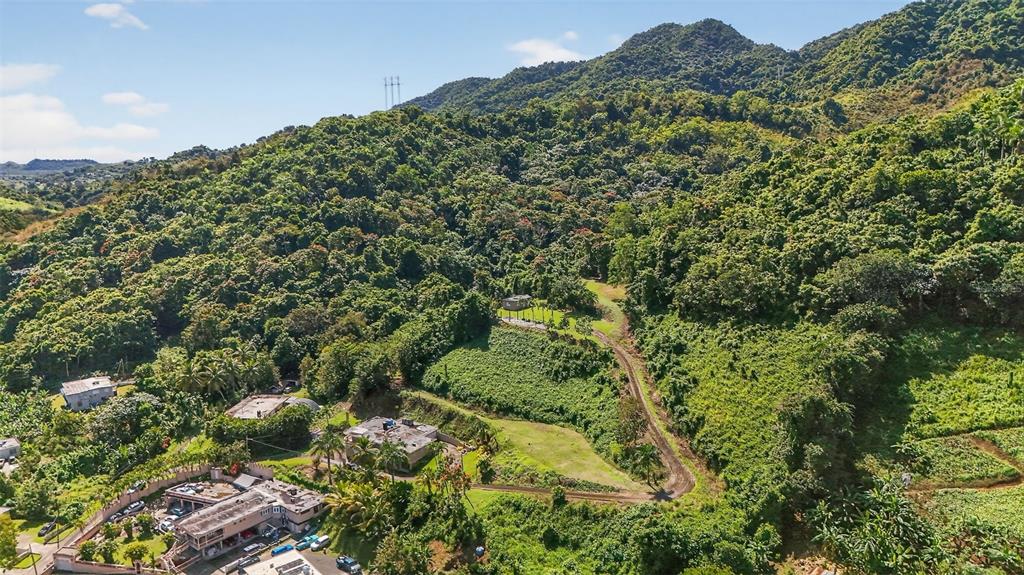 184 Bo Mulas Patillas, PR 00723 - Photo 6 of 28 a view of a lush green forest with lawn chairs