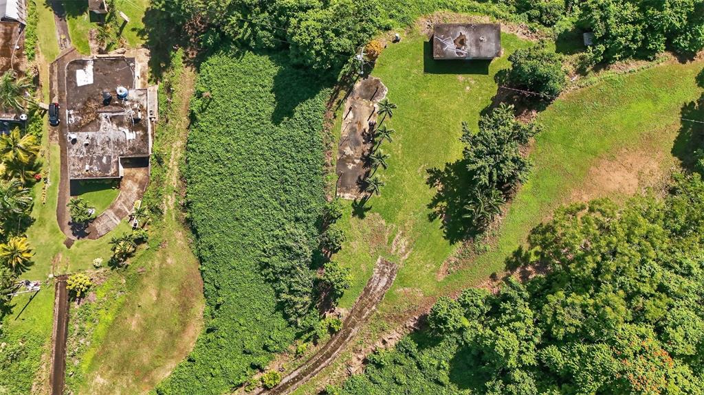 184 Bo Mulas Patillas, PR 00723 - Photo 9 of 28 an aerial view of residential houses with outdoor space and trees