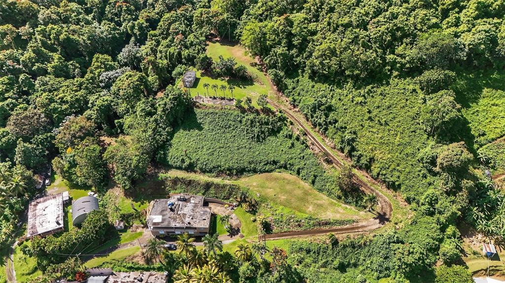 184 Bo Mulas Patillas, PR 00723 - Photo 10 of 28 an aerial view of residential house with outdoor space and trees all around