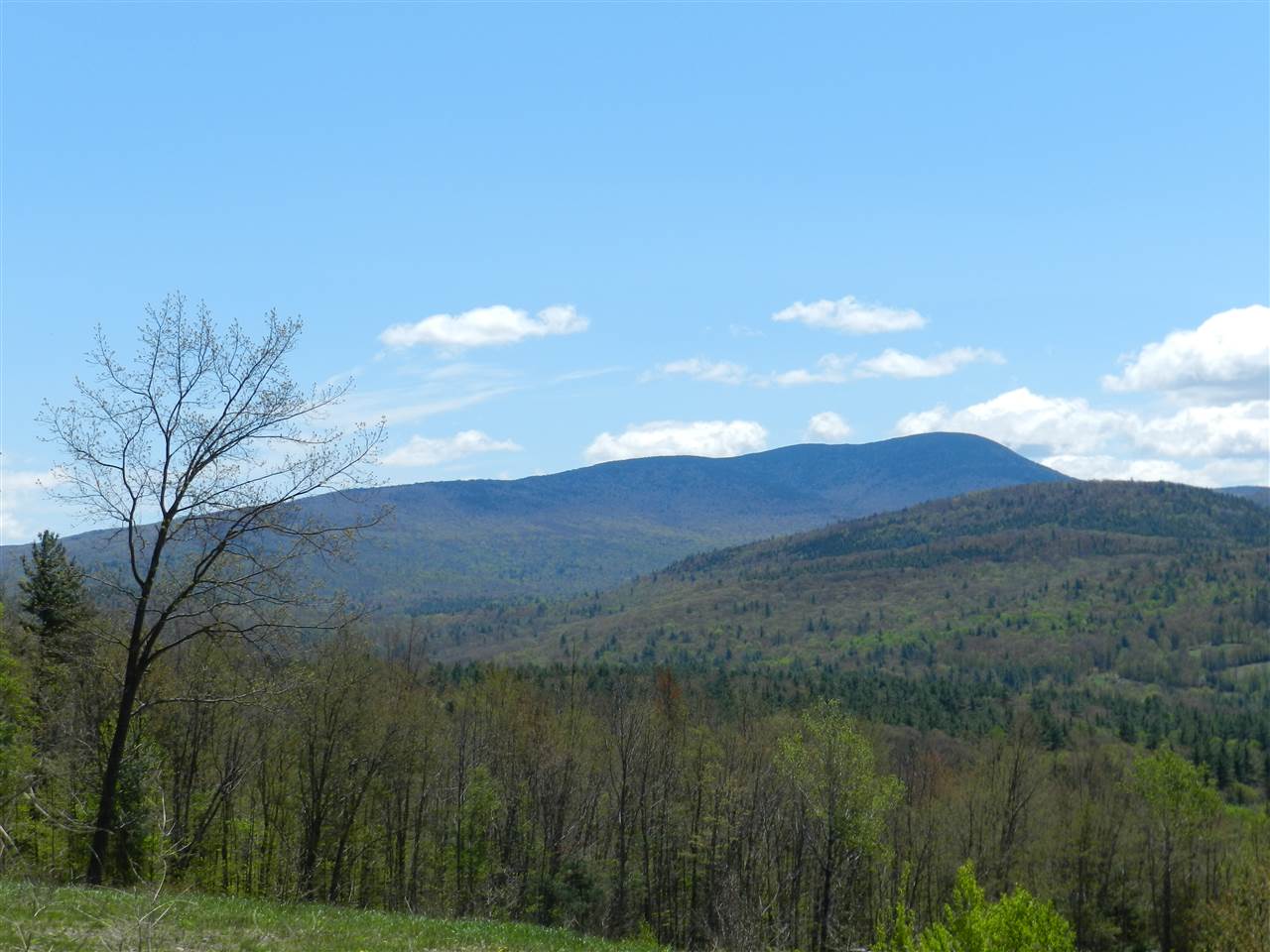 75 Red Oak Ridge Orford, NH 03777 - Photo 11 of 24 Gallery Image 11