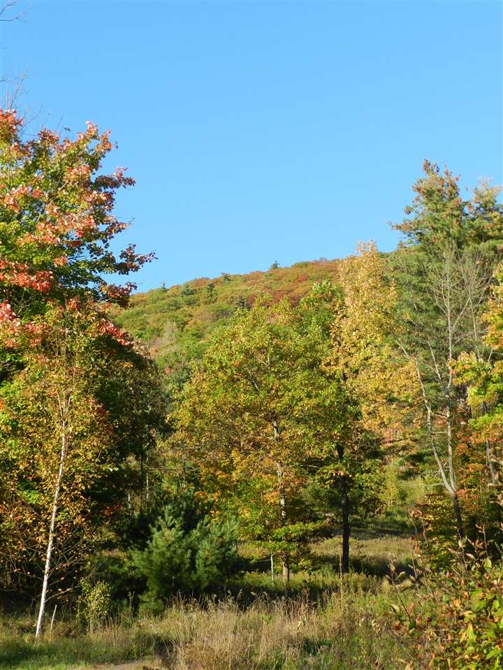 75 Red Oak Ridge Orford, NH 03777 - Photo 3 of 24 Gallery Image 3