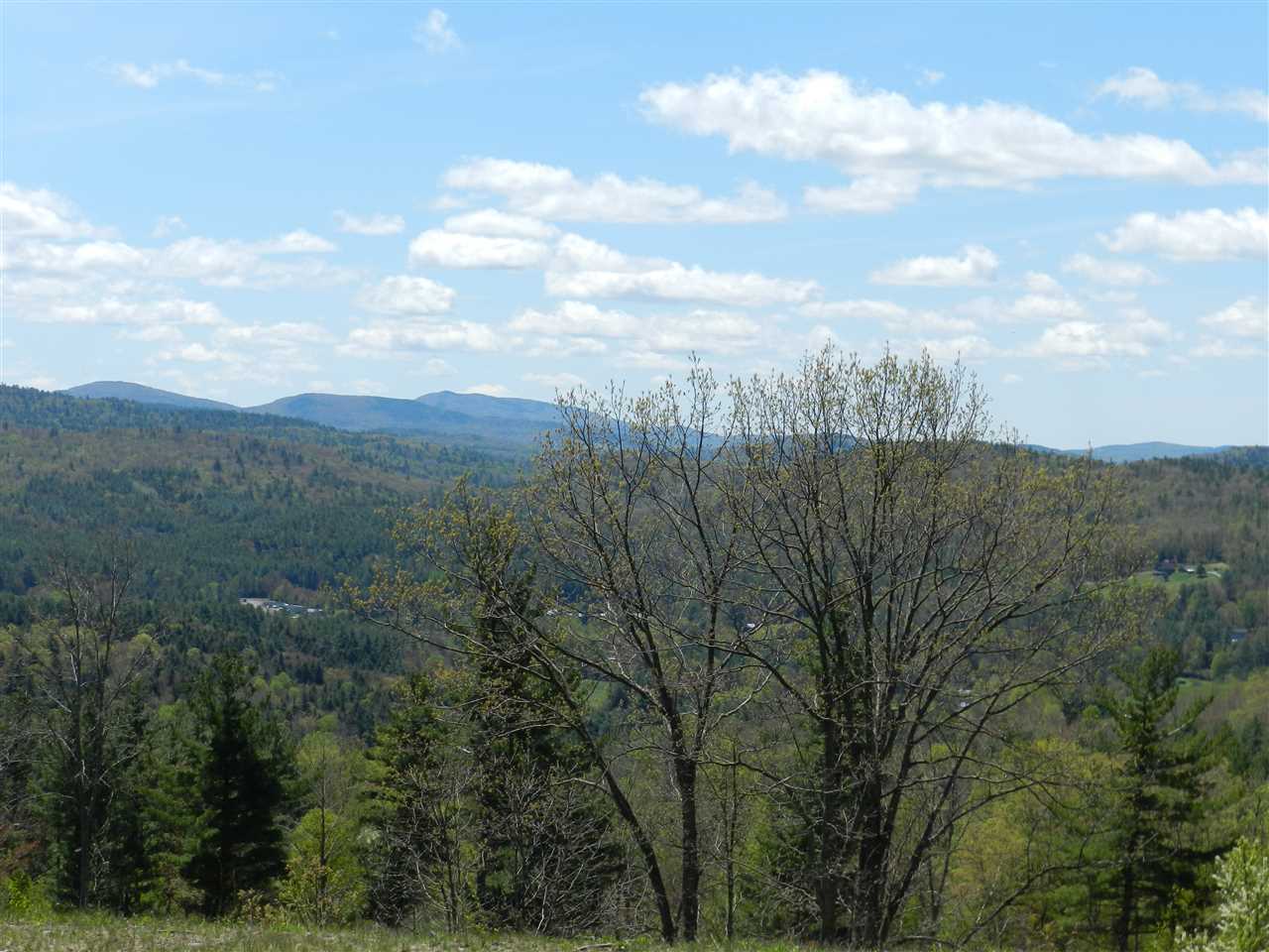 75 Red Oak Ridge Orford, NH 03777 - Photo 9 of 24 Gallery Image 9
