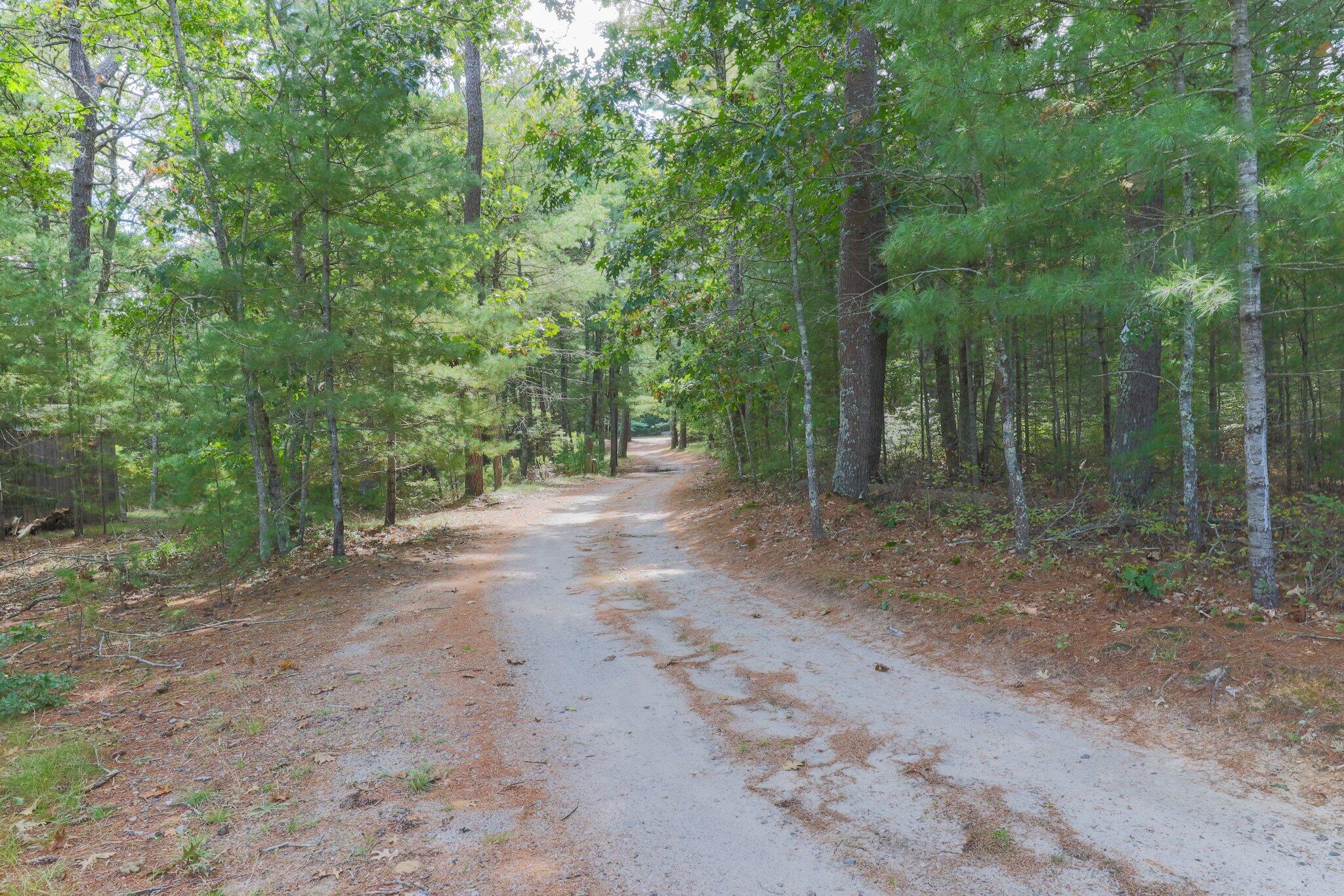 3 Fathom Lane Wareham, MA 02571 - Photo 45 of 57 a view of a forest with trees in the background