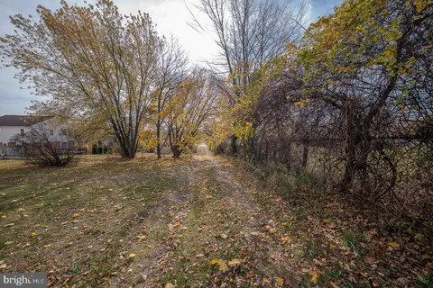 a view of outdoor space and yard