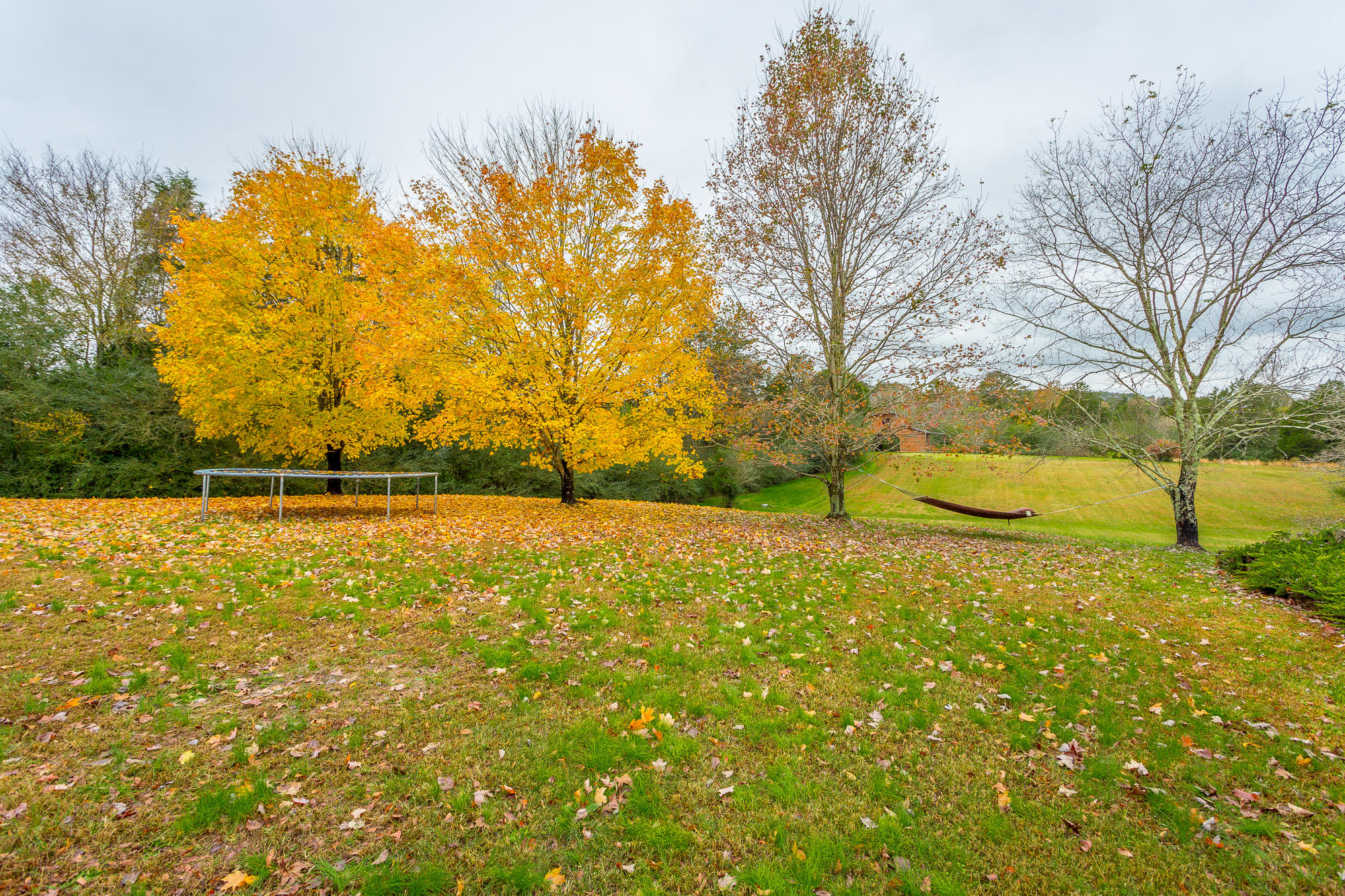 1182 Old Three Notch Road Ringgold, GA 30736 - Photo 65 of 88 Side Yard