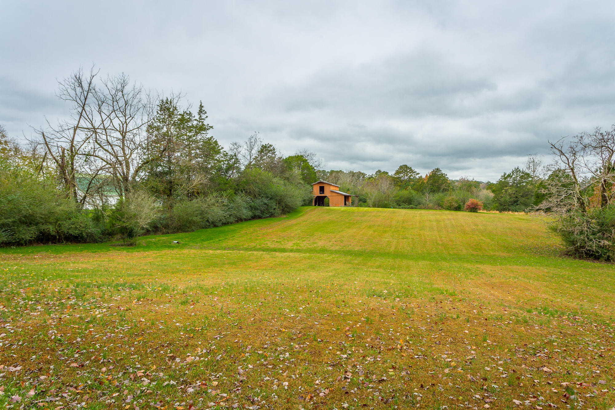 1182 Old Three Notch Road Ringgold, GA 30736 - Photo 8 of 88 Bring Your Horses