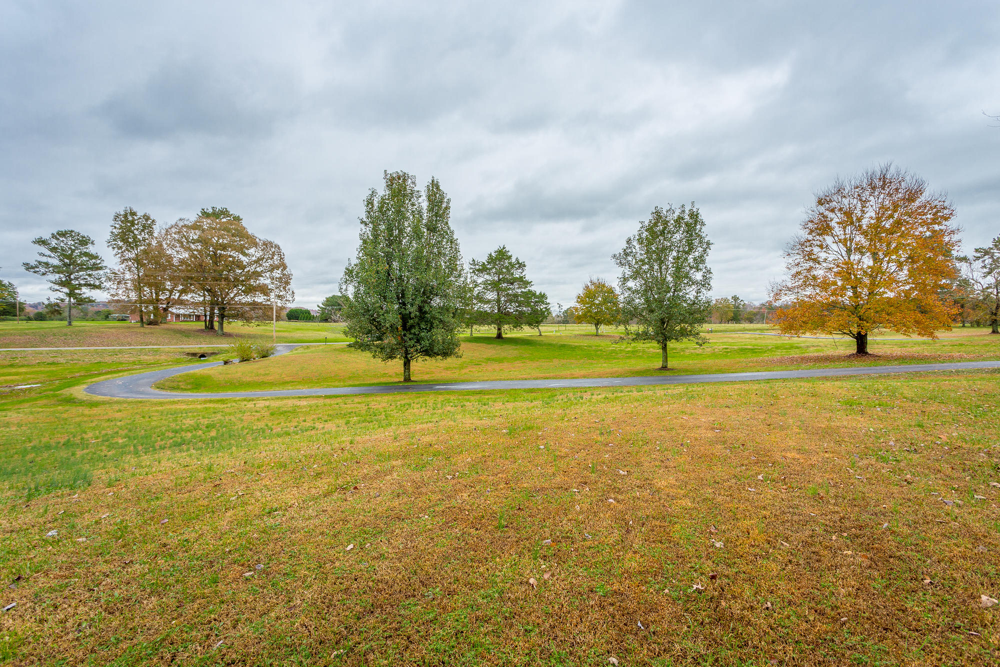1182 Old Three Notch Road Ringgold, GA 30736 - Photo 82 of 88 Winding Driveway