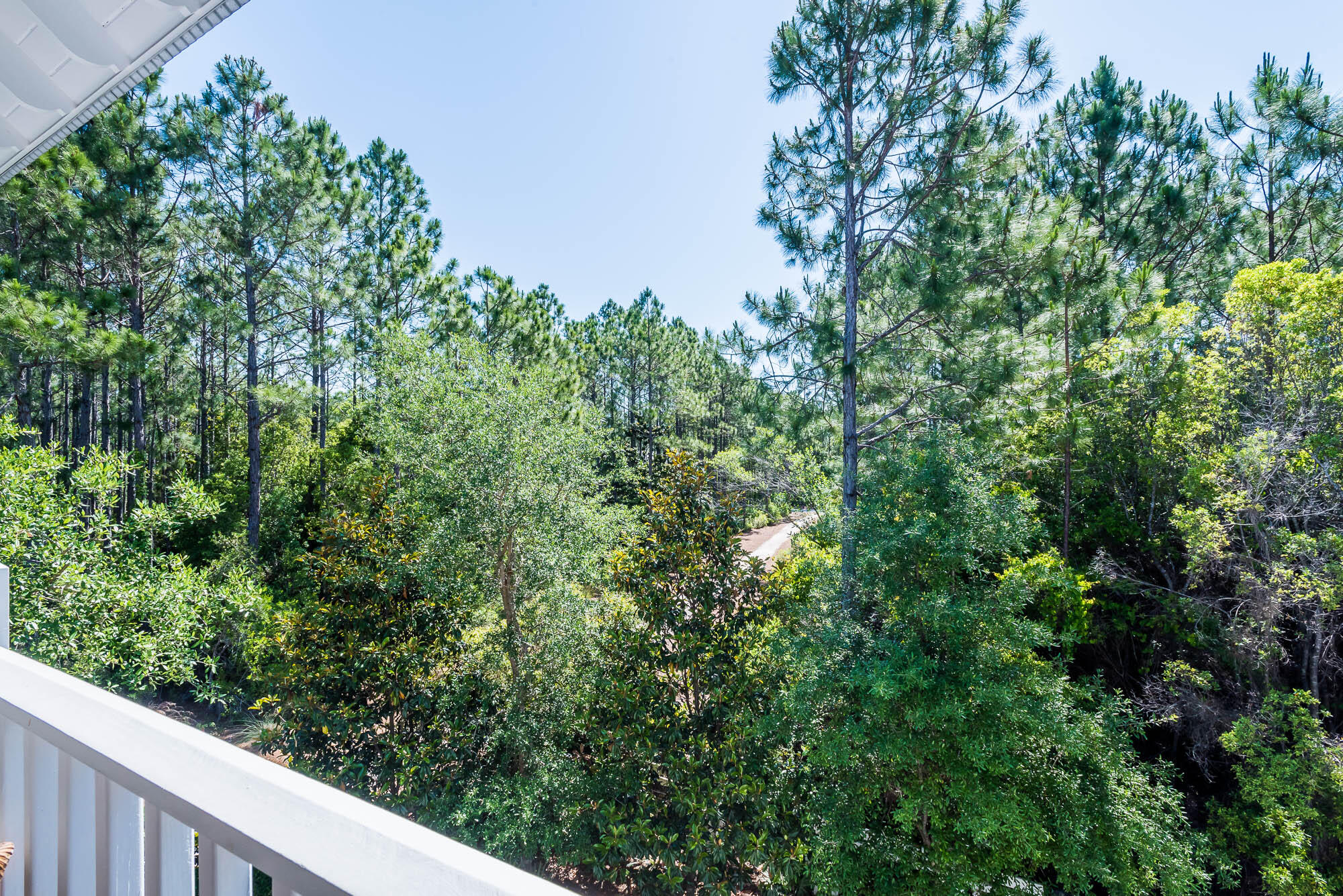 243 Pine Needle Way Santa Rosa Beach, FL 32459 - Photo 48 of 76 180508-243pineneedle-044-2000