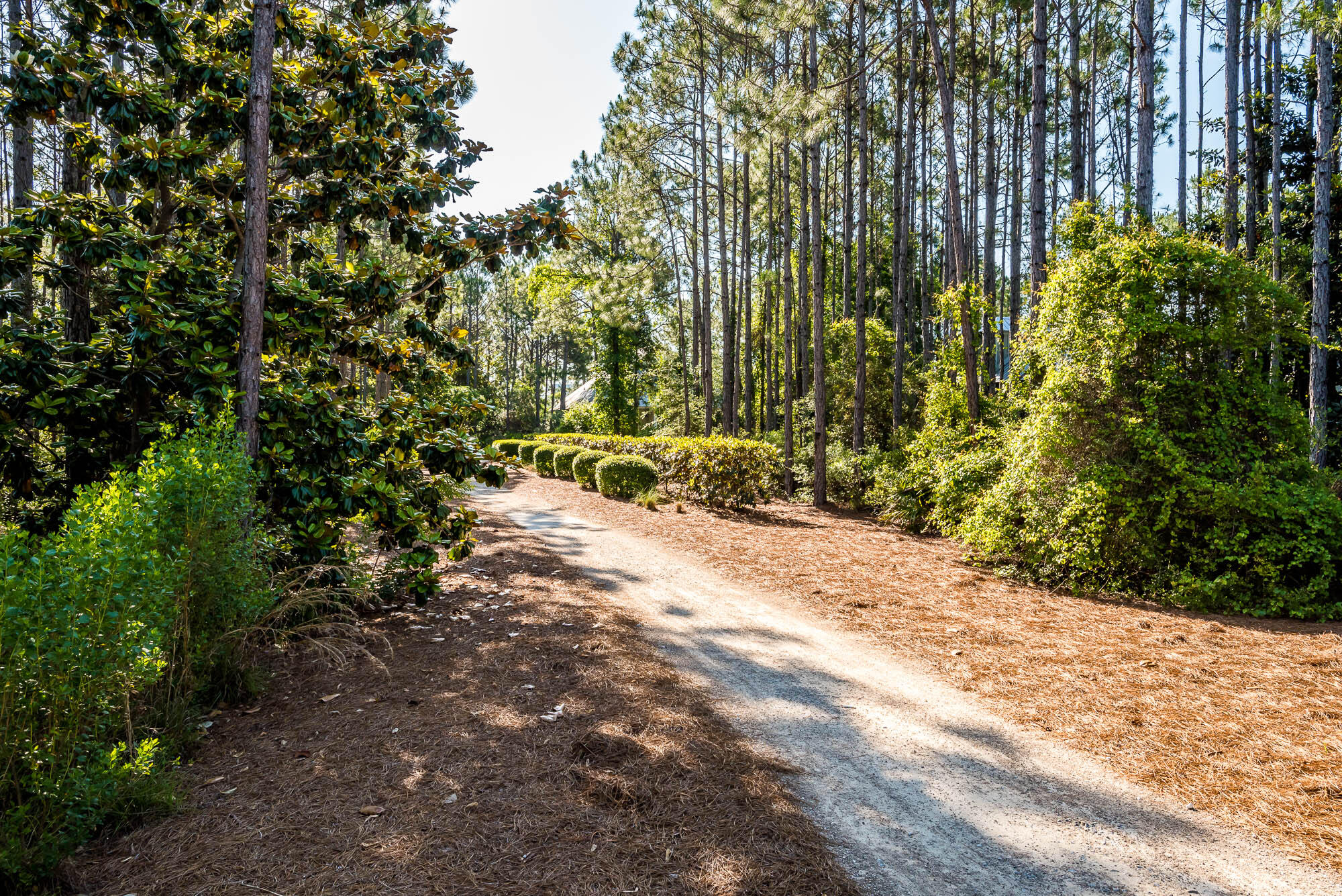 243 Pine Needle Way Santa Rosa Beach, FL 32459 - Photo 66 of 76 180508-243pineneedle-065-2000