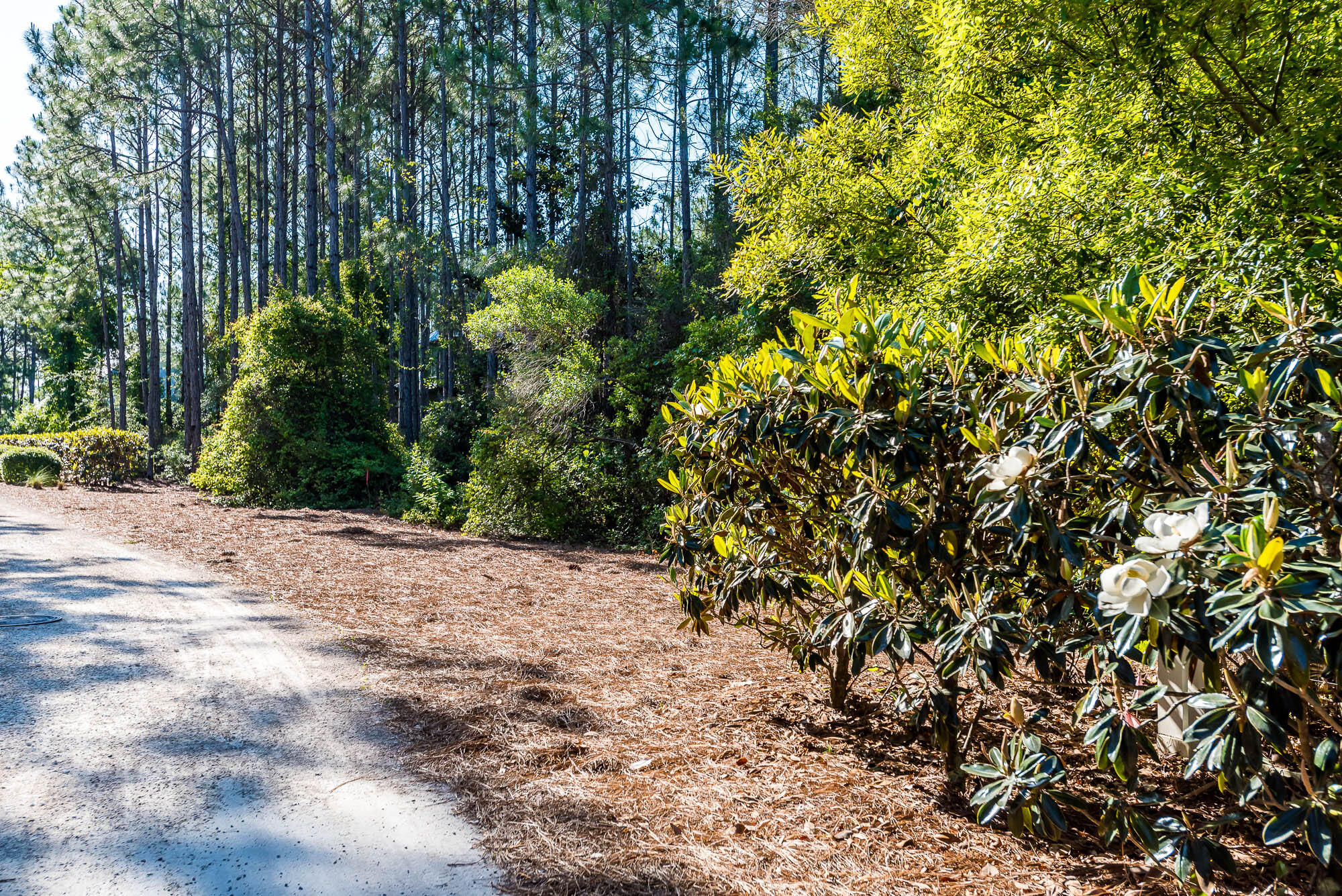243 Pine Needle Way Santa Rosa Beach, FL 32459 - Photo 67 of 76 180508-243pineneedle-066-2000