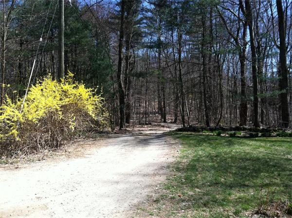 21 Gulf Road Pelham, MA 01002 - Photo 3 of 30 a view of a yard with large trees