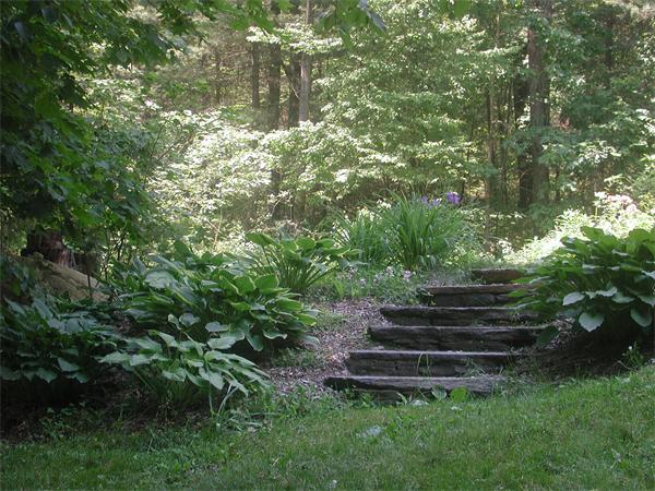 21 Gulf Road Pelham, MA 01002 - Photo 4 of 30 a view of outdoor space
