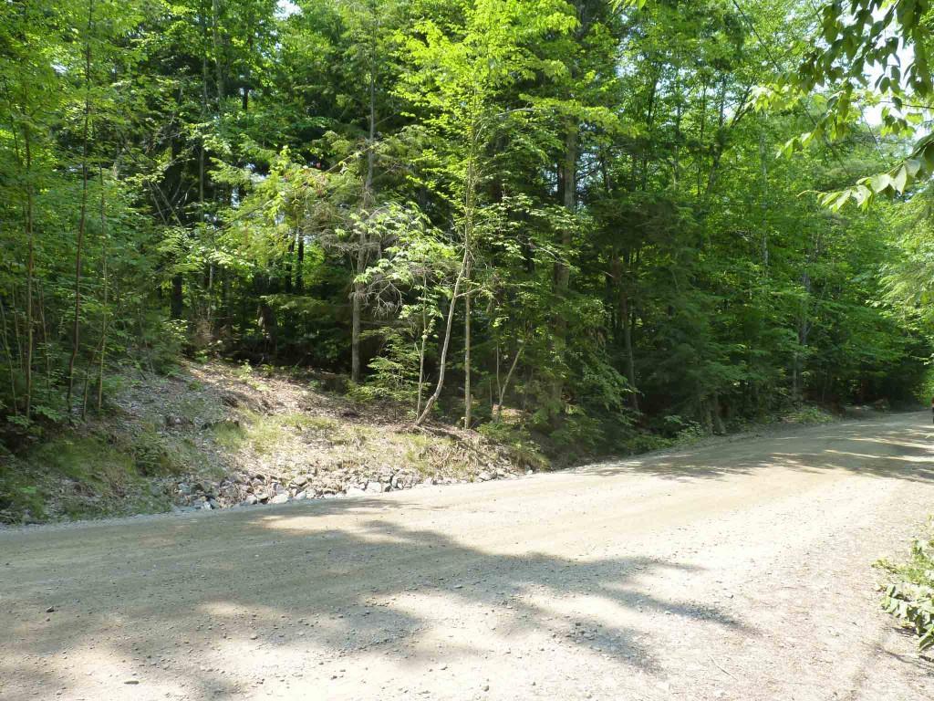 221 West Shore Road Otis, ME 04605 - Photo 21 of 22 Lot across from Cottage