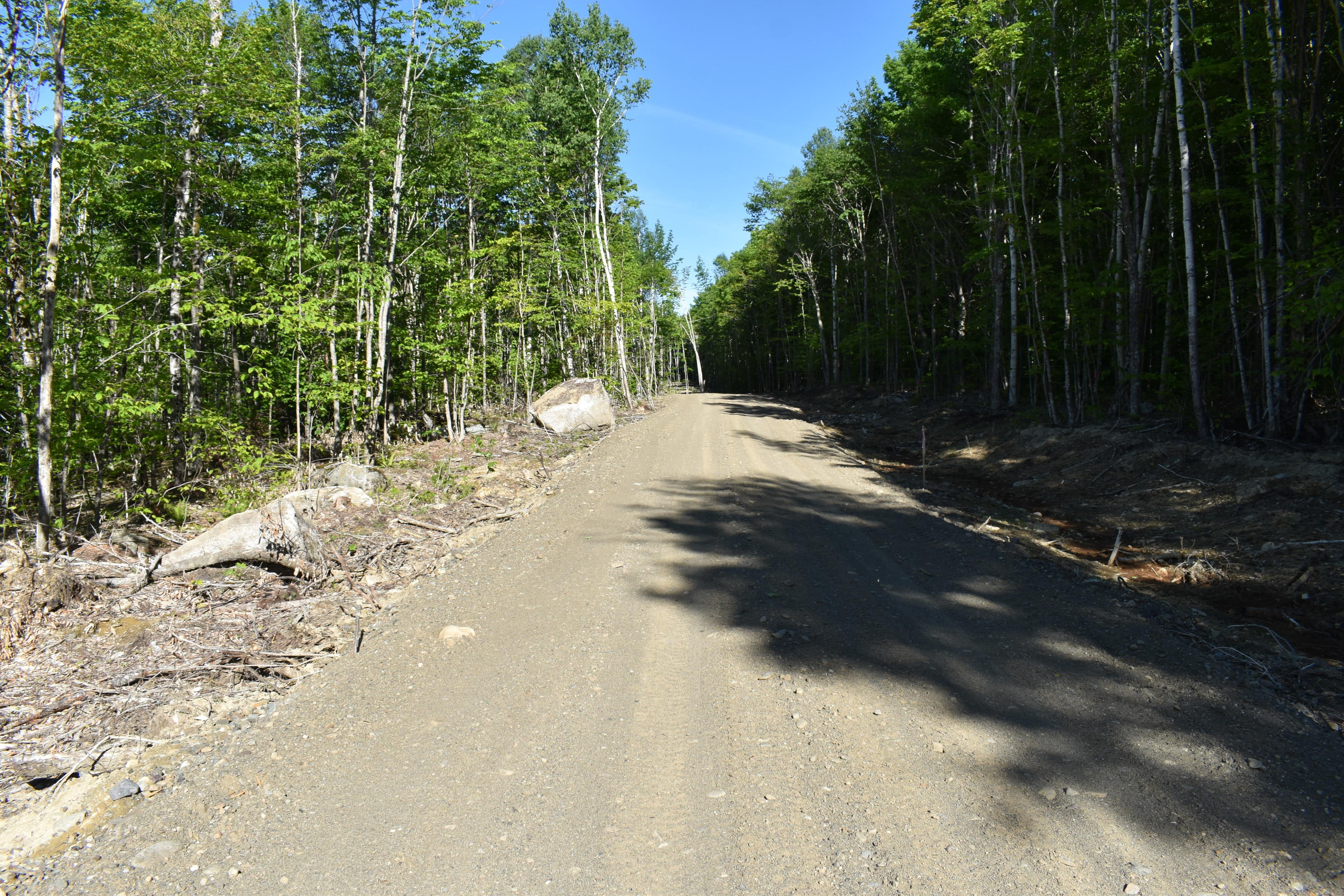 Lot 1-b-9 Lot 1-b-9 Road Weston, ME 04424 - Photo 21 of 22 DSC_0236