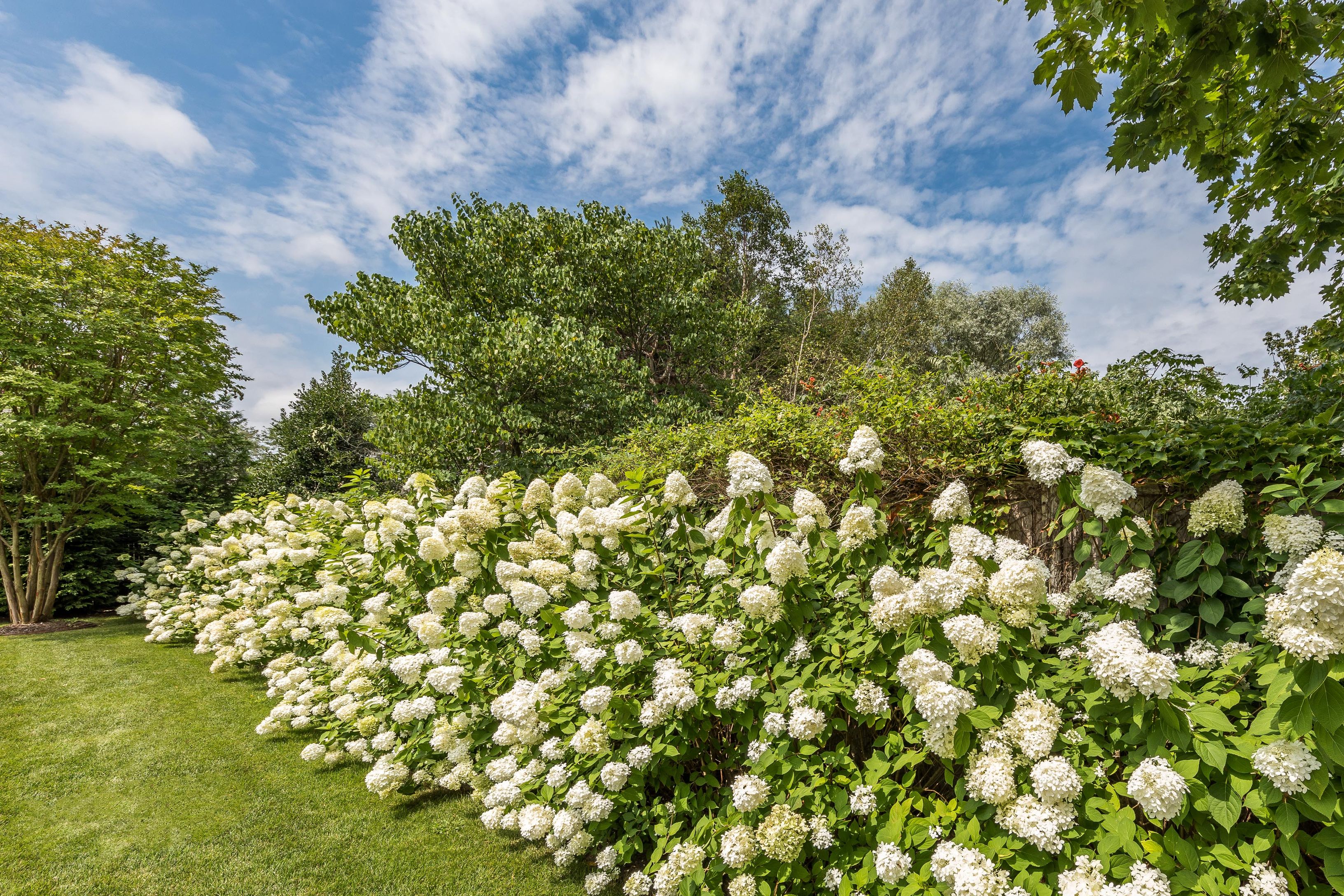 43 Howard Street Sag Harbor, NY 11963 - Photo 31 of 31 a backyard of a house with lots of green space