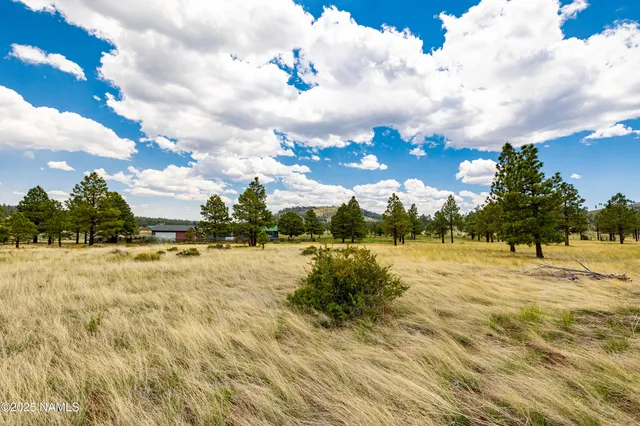 $250,000 | 0 Snow Bowl Estates, Flagstaff, AZ 86001