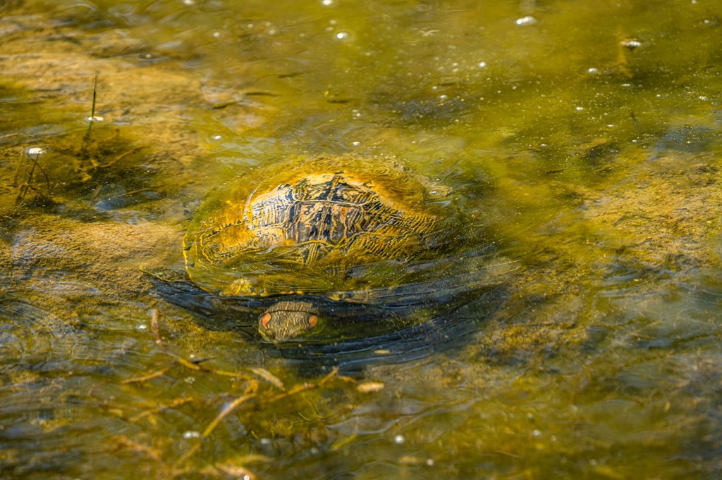 7451 County Road 370 Menard, TX 76859 - Photo 52 of 67