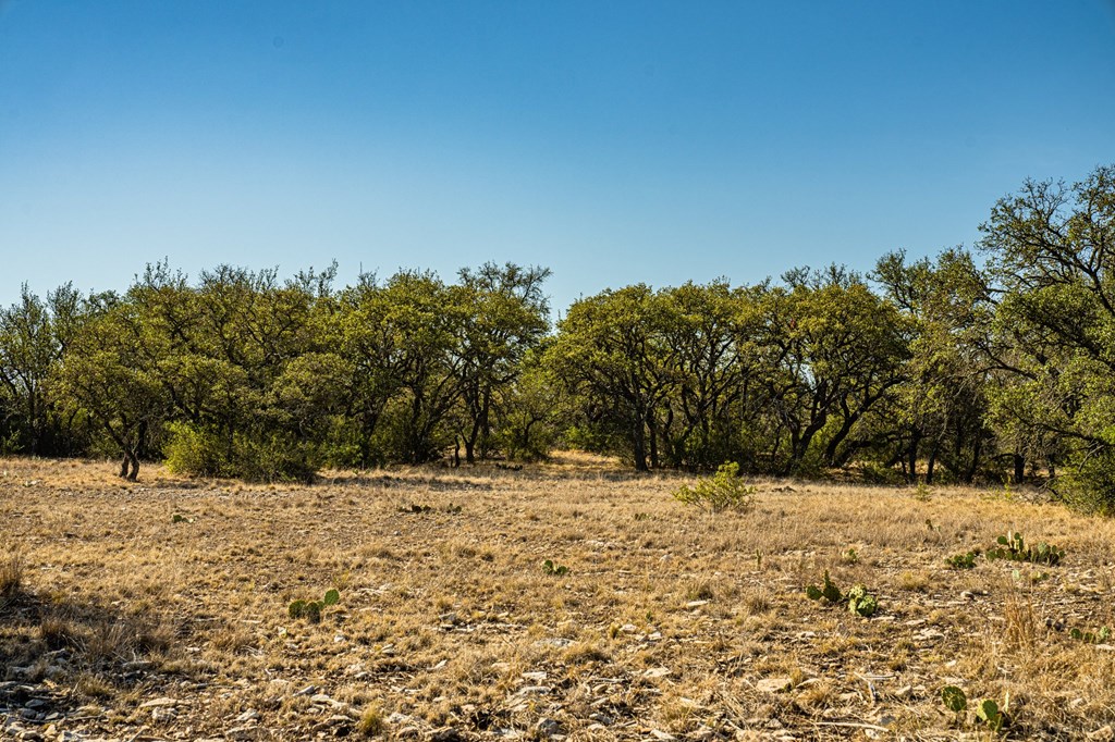 7451 County Road 370 Menard, TX 76859 - Photo 56 of 67