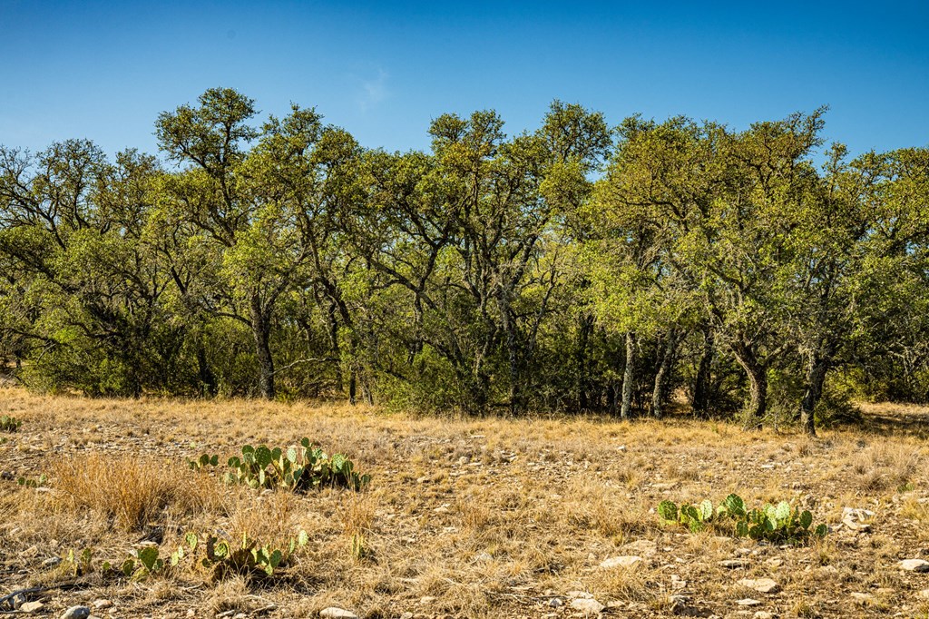 7451 County Road 370 Menard, TX 76859 - Photo 57 of 67