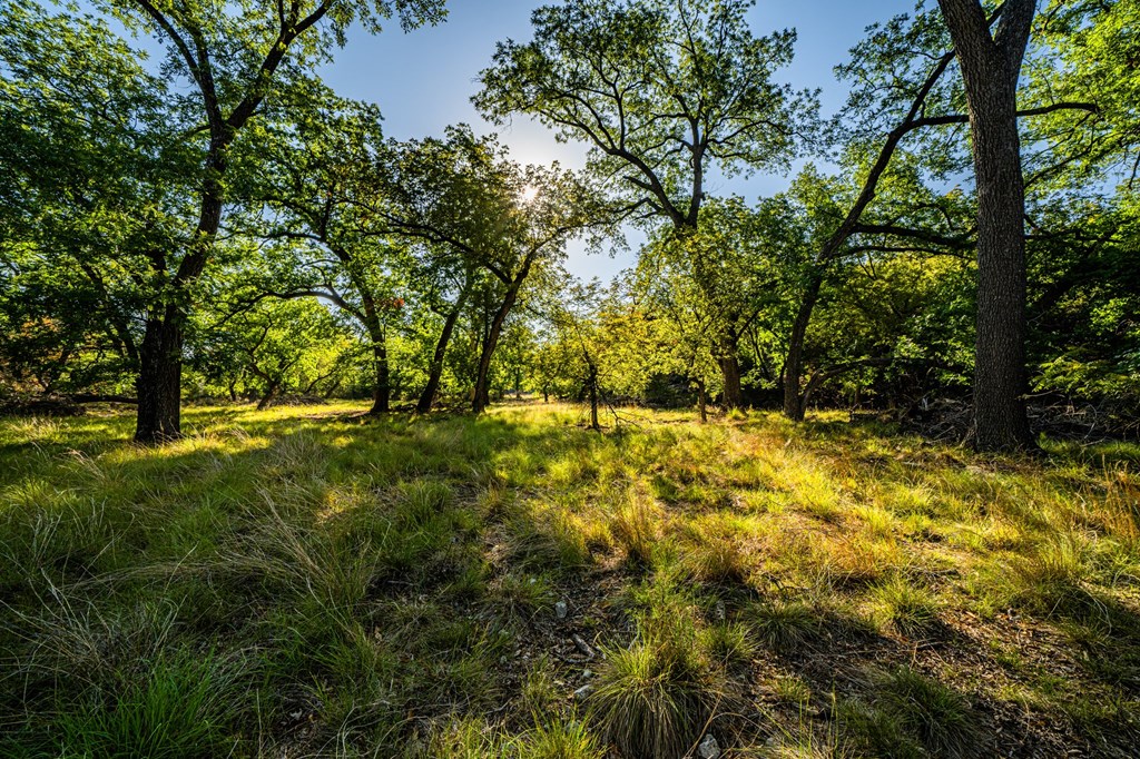 7451 County Road 370 Menard, TX 76859 - Photo 6 of 67