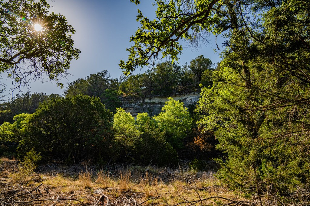 7451 County Road 370 Menard, TX 76859 - Photo 10 of 67