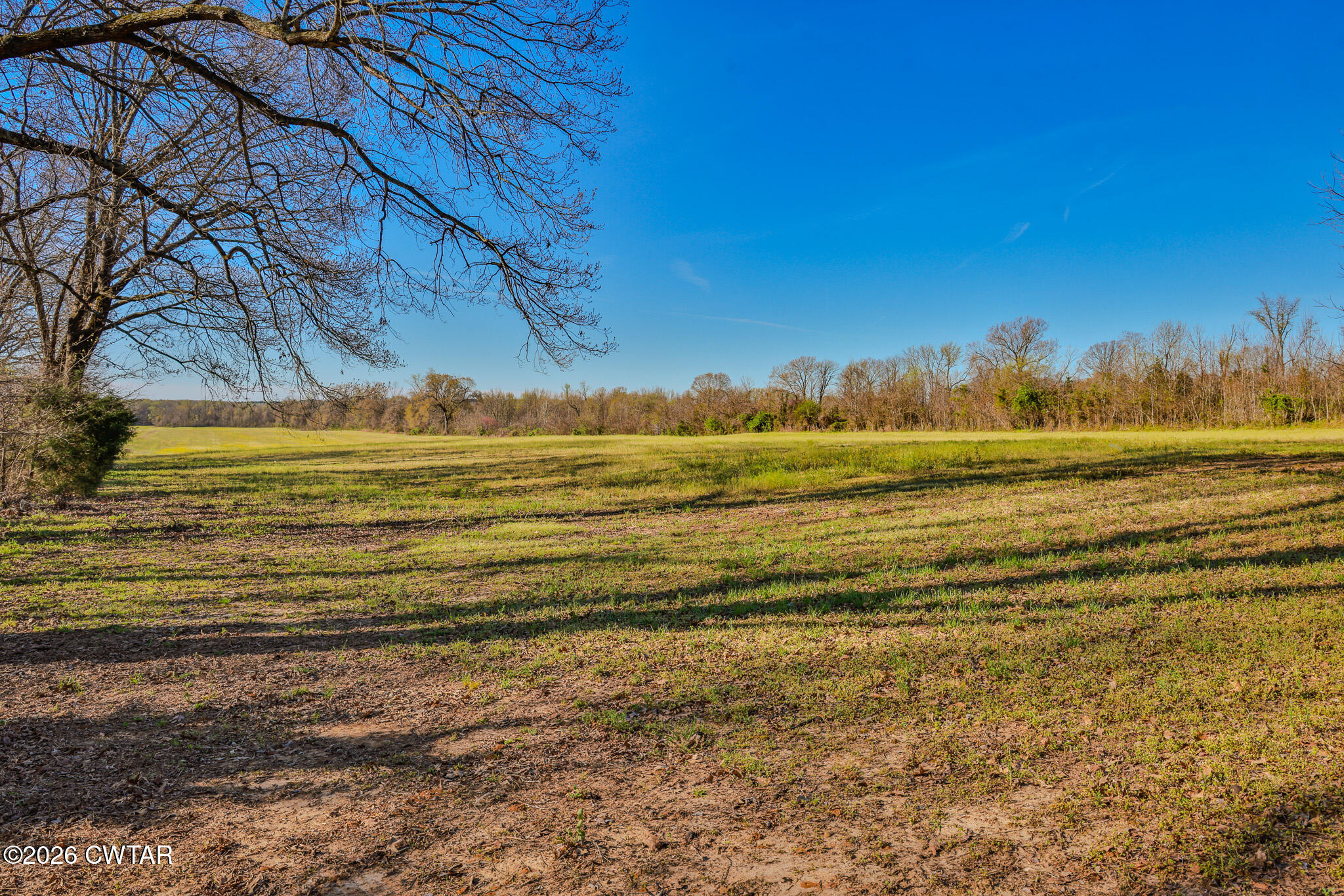 4030 Shades Bridge Road Greenfield, TN 38230 - Photo 23 of 25 FT8A2117