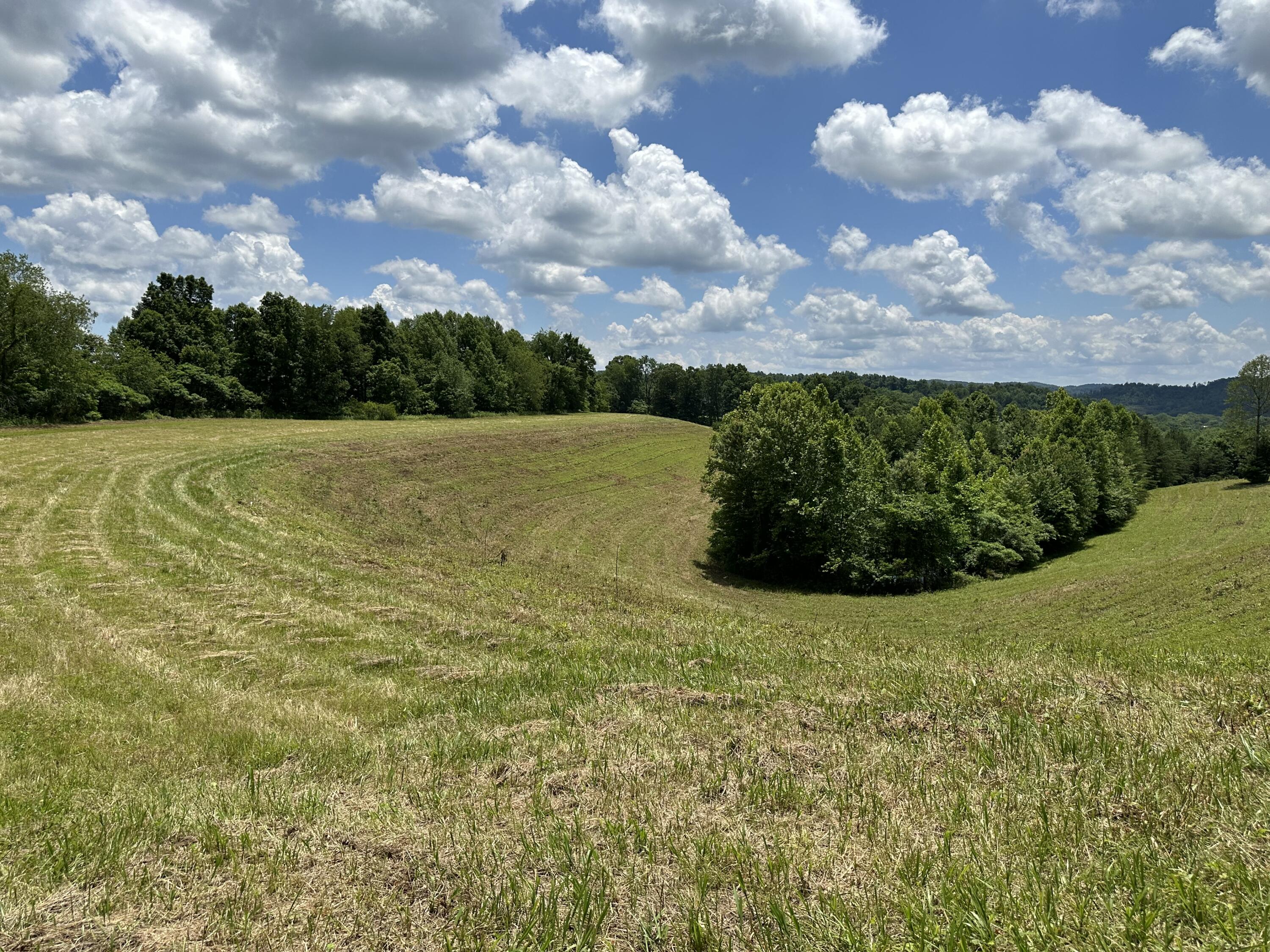 10 Elbert Shepherd Road London, KY 40741 - Photo 22 of 40 IMG_6360