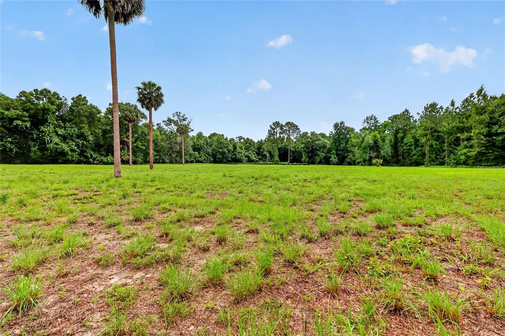 Kilker Road Paisley, FL 32767 - Photo 11 of 15