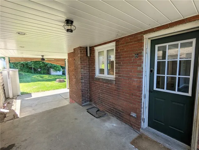 a view of backyard with large tree