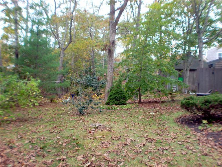 265 Chatham Road Harwich, MA 02645 - Photo 33 of 35 a view of a forest filled with trees