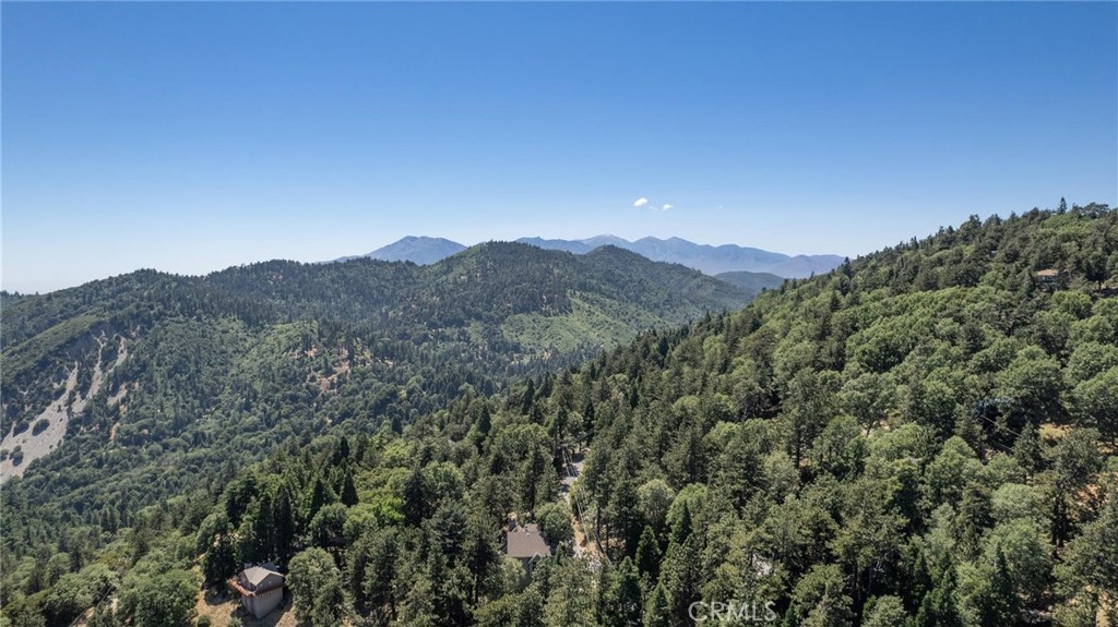 21818 Vista Road Cedarpines Park, CA 92322 - Photo 30 of 41 a view of a mountain range with a lush green forest