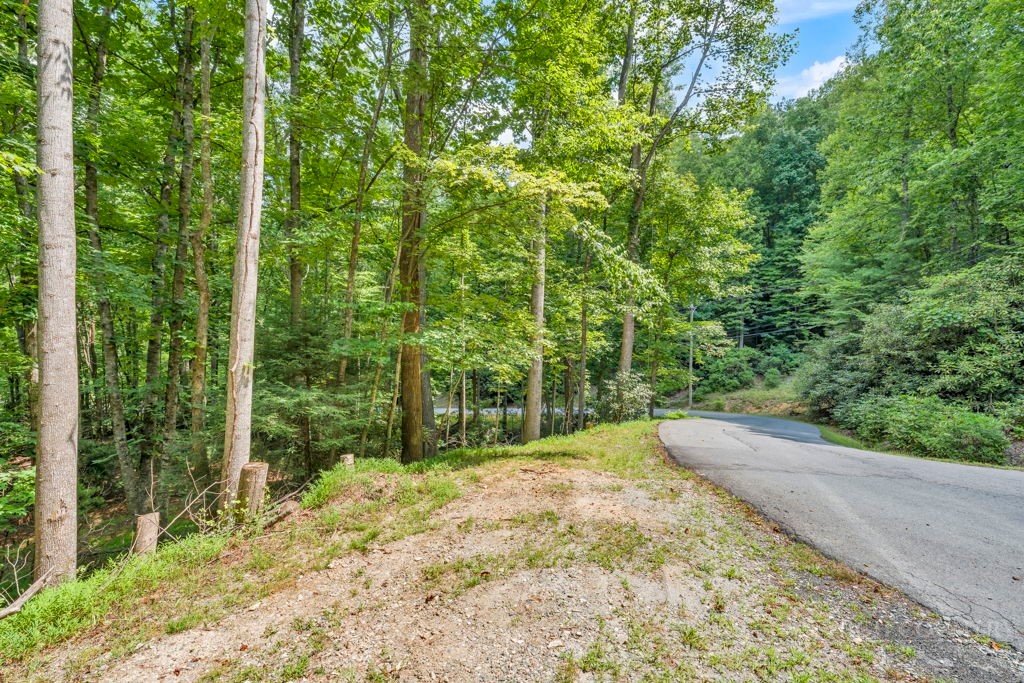 11-14 Powder Horn Mountain Road Deep Gap, NC 28618 - Photo 24 of 38
