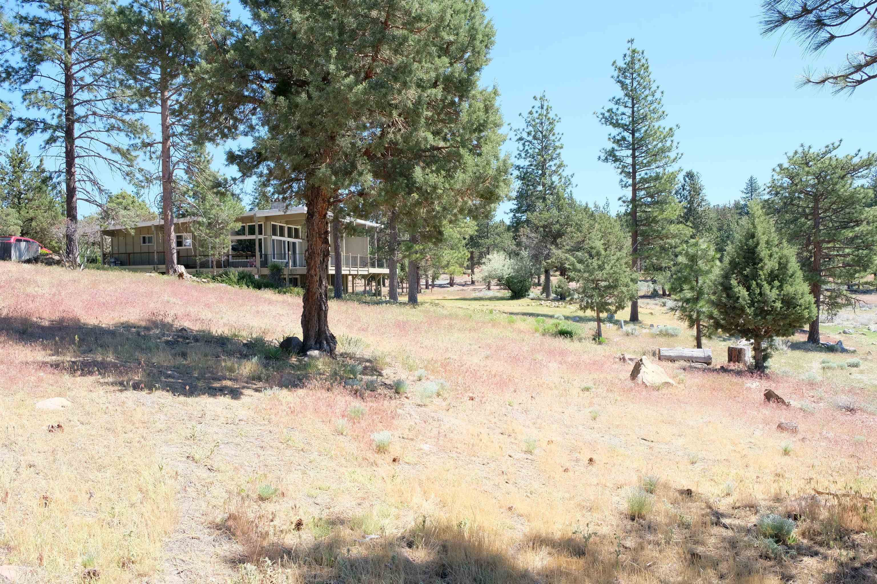 Lot 81 Spear Point Road Weed, CA 96094 - Photo 9 of 9 Gallery Image 9