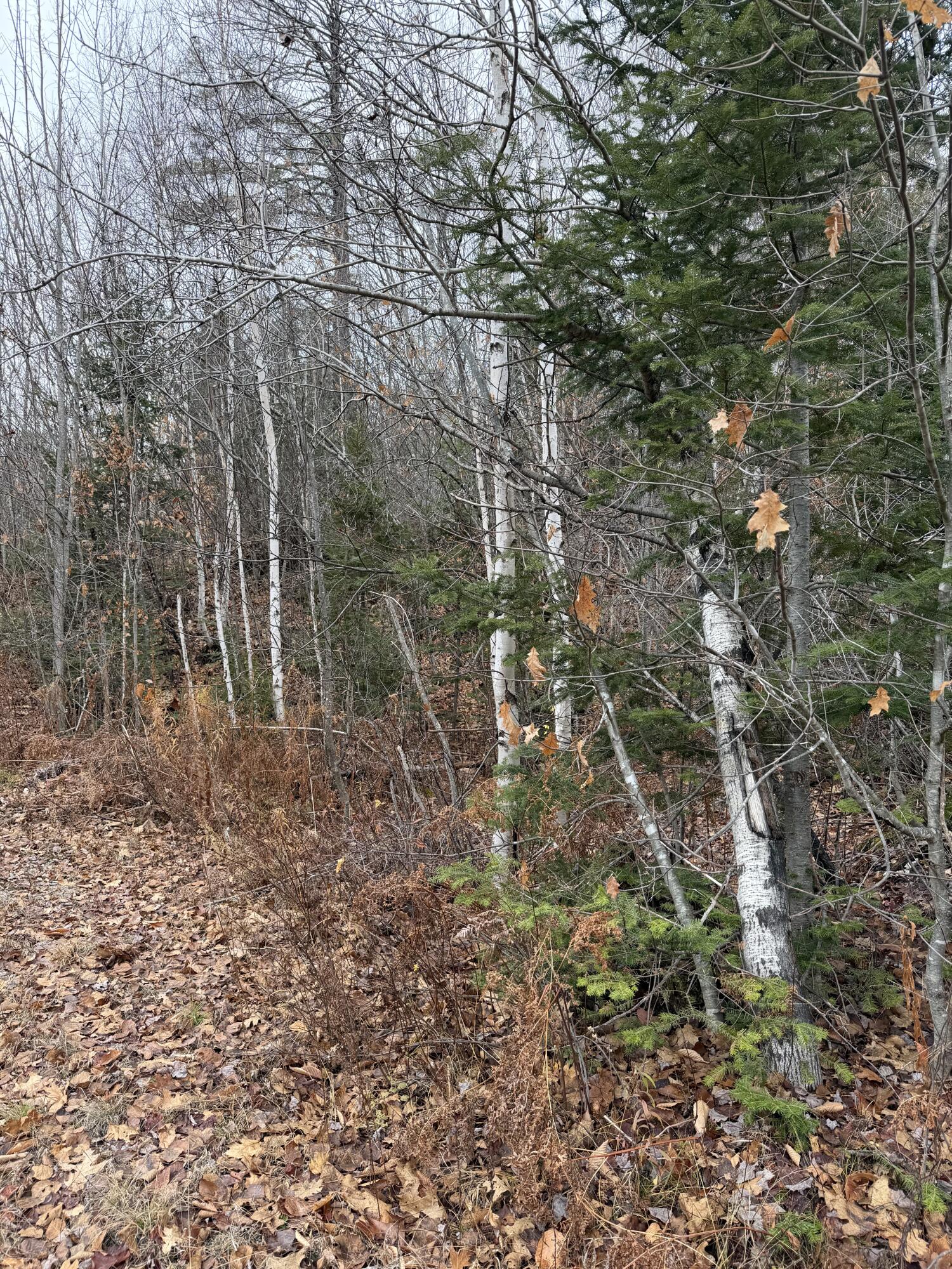 M5-l27 Pond Road Abbot, ME 04406 - Photo 10 of 15