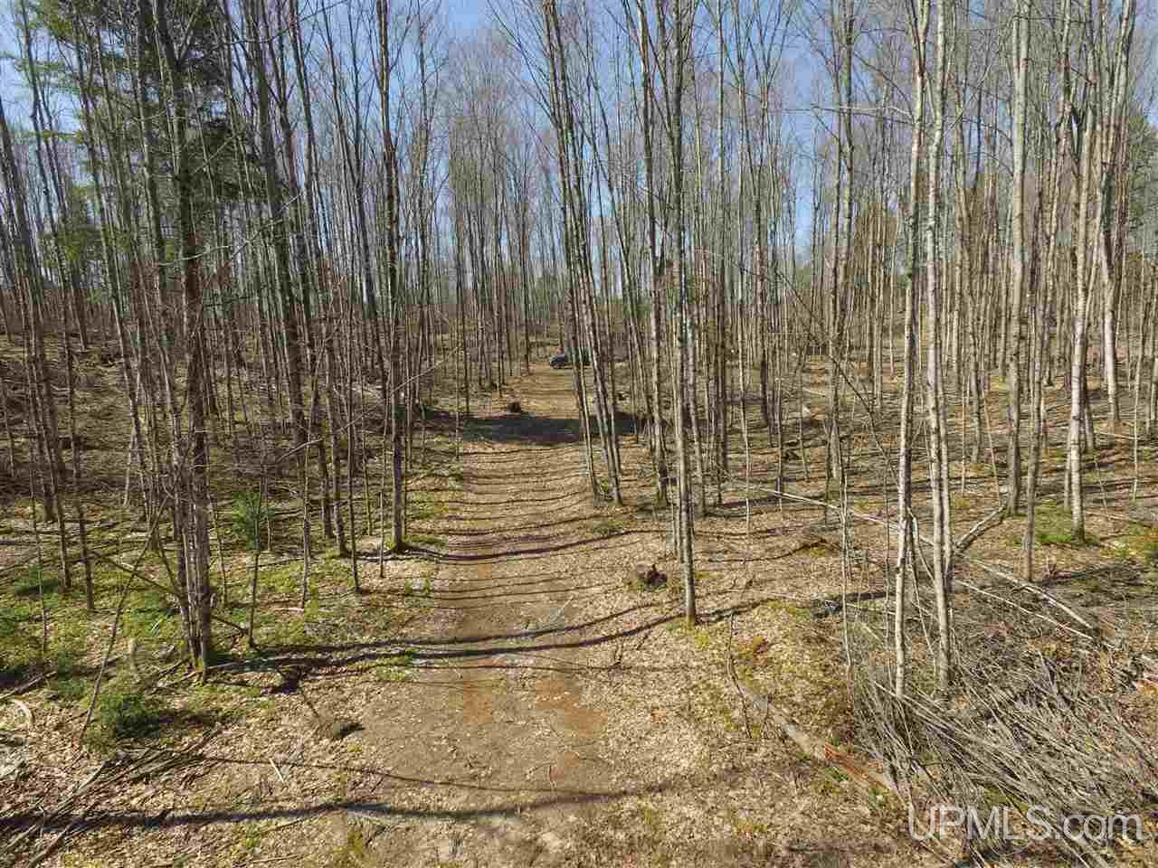 N2510 Co Rd Kch Big Bay, MI 49808 - Photo 11 of 39
