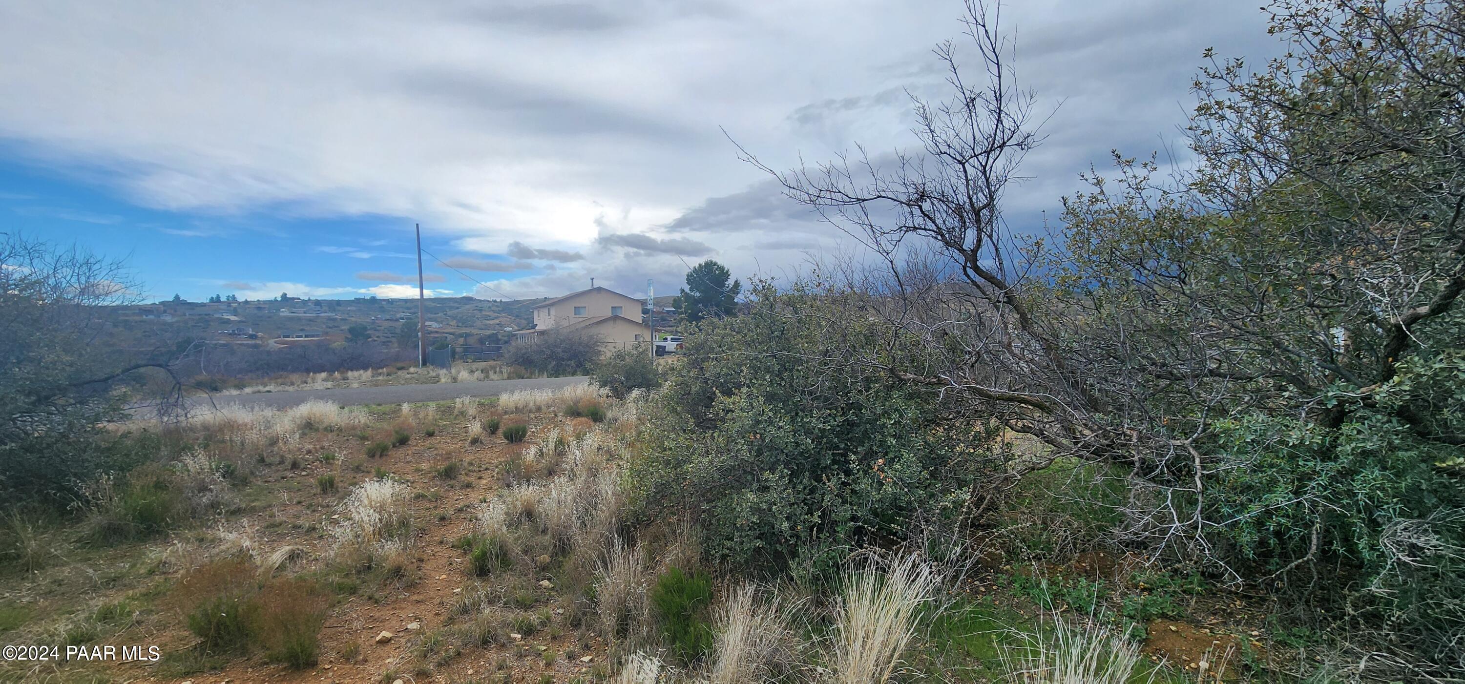 Panoramic view 2