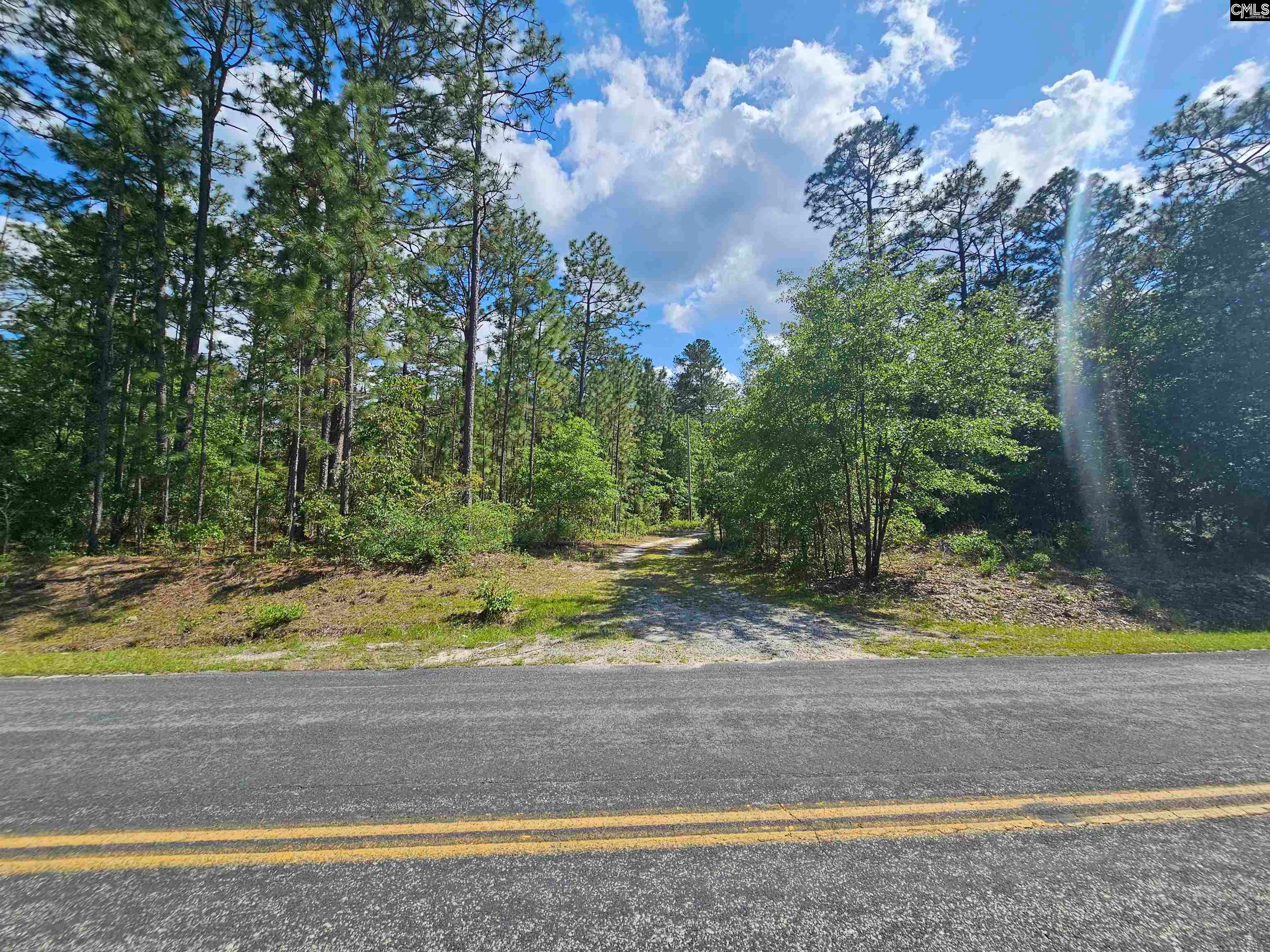 170 Happy Ridge Drive Lexington, SC 29073 - Photo 2 of 24 Gallery Image 2