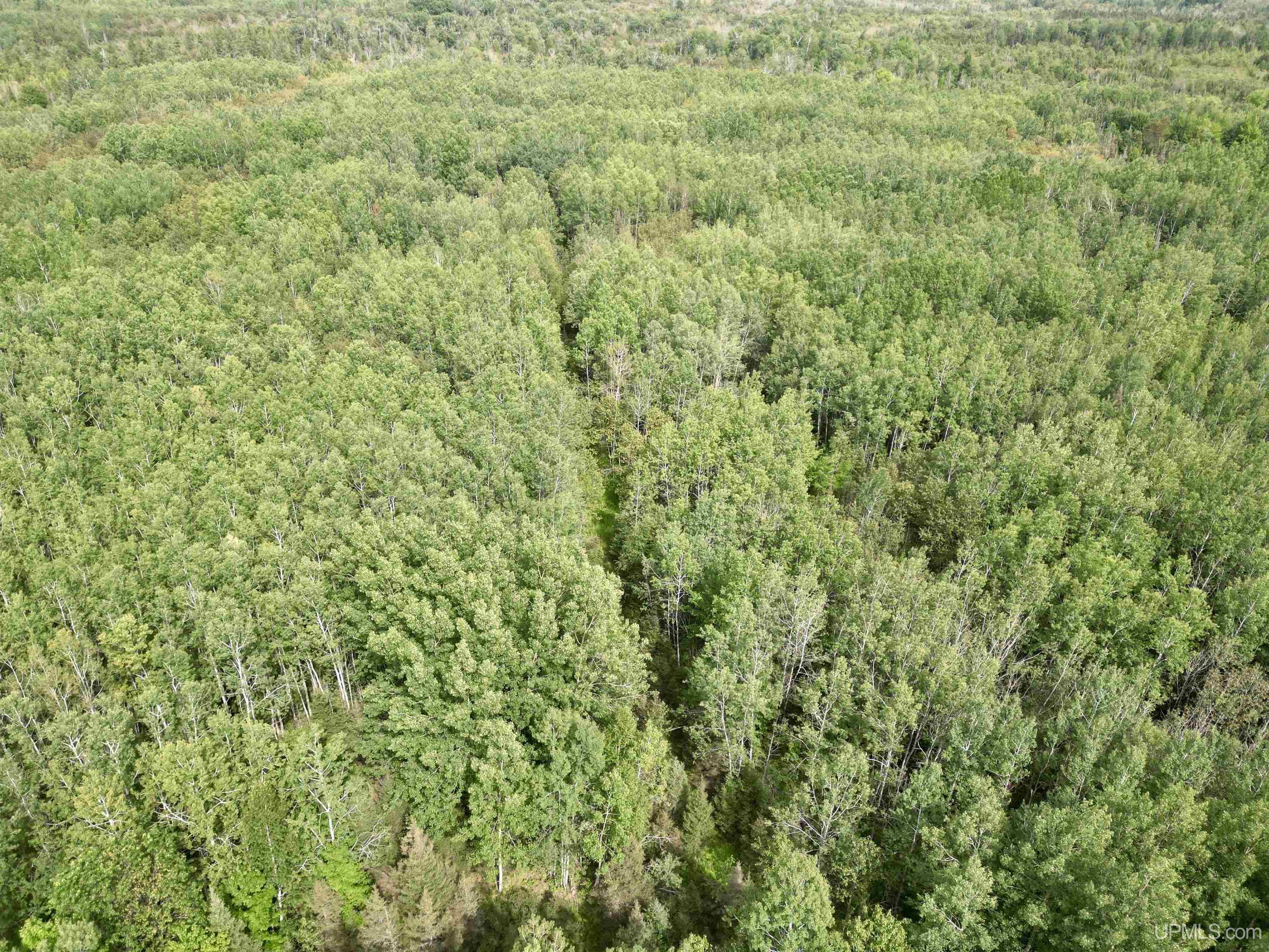 Tbd Trombley 35th Road Rock, MI 49880 - Photo 12 of 28