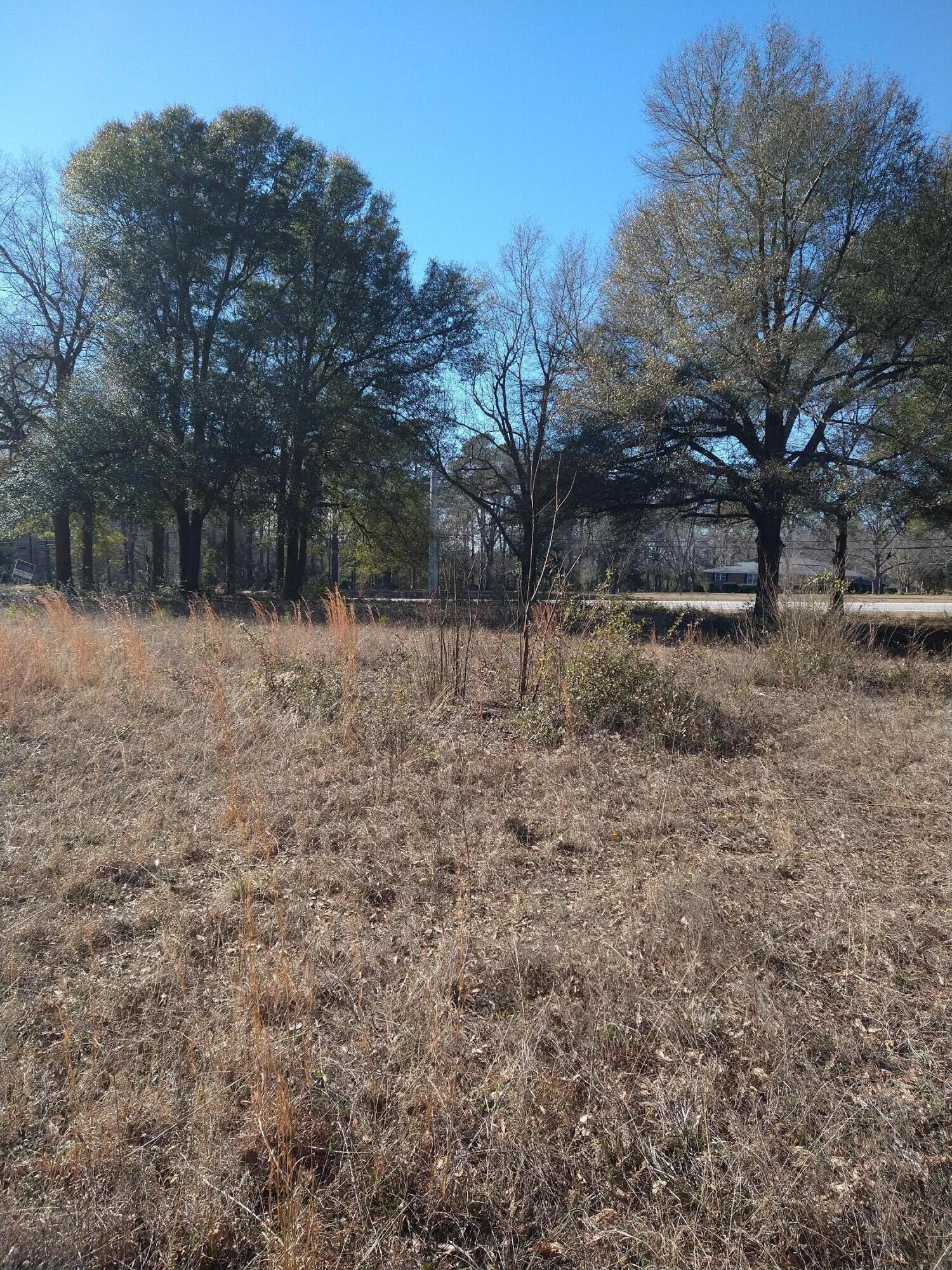 2237 Mcelmurray Road Hephzibah, GA 30815 - Photo 4 of 6 IMG_20240129_144411723