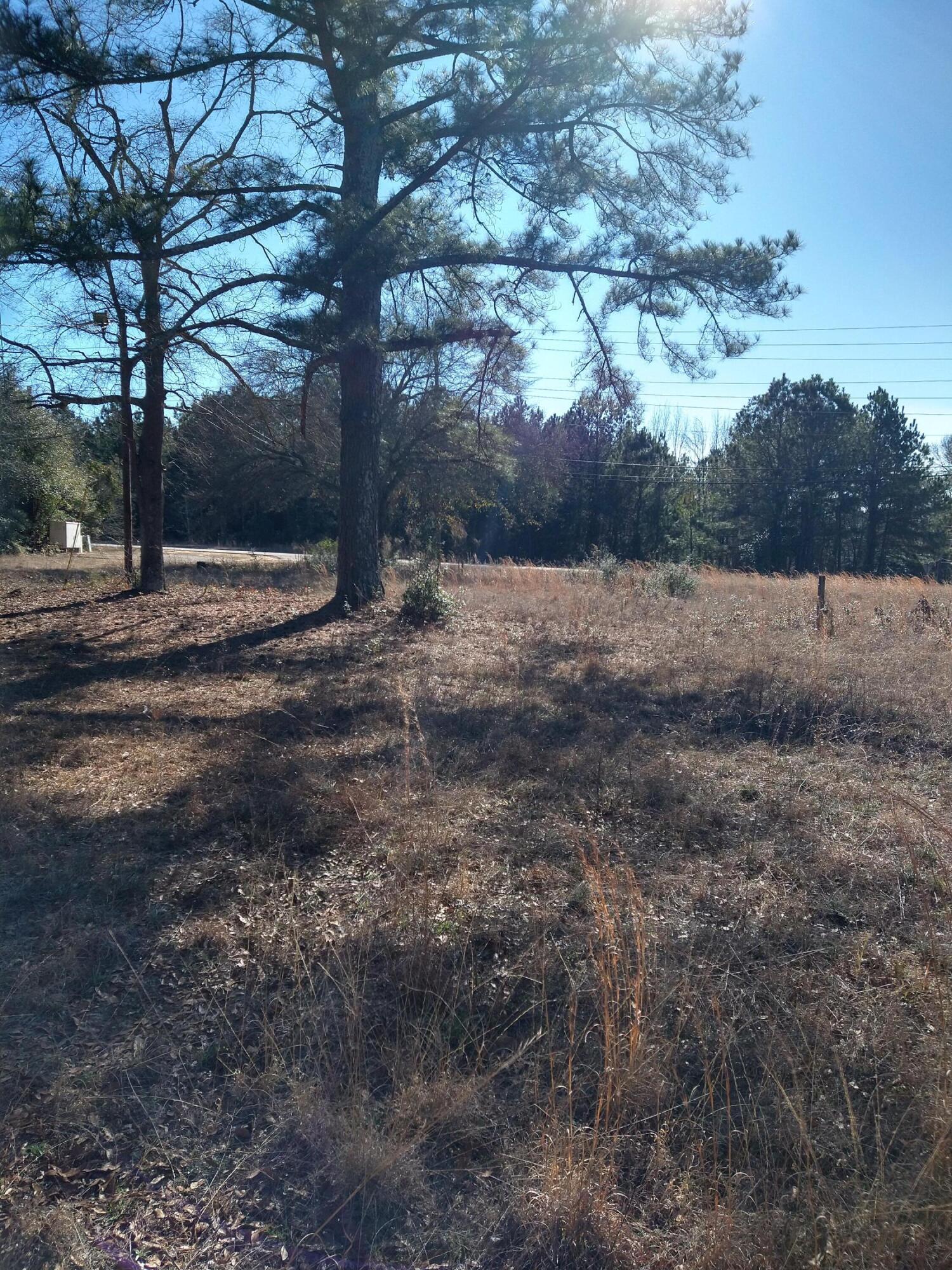 2237 Mcelmurray Road Hephzibah, GA 30815 - Photo 5 of 6 IMG_20240129_144414799_HDR