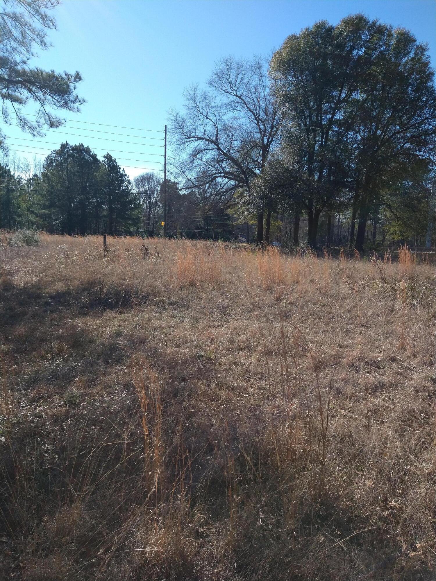 2237 Mcelmurray Road Hephzibah, GA 30815 - Photo 6 of 6 IMG_20240129_144449454