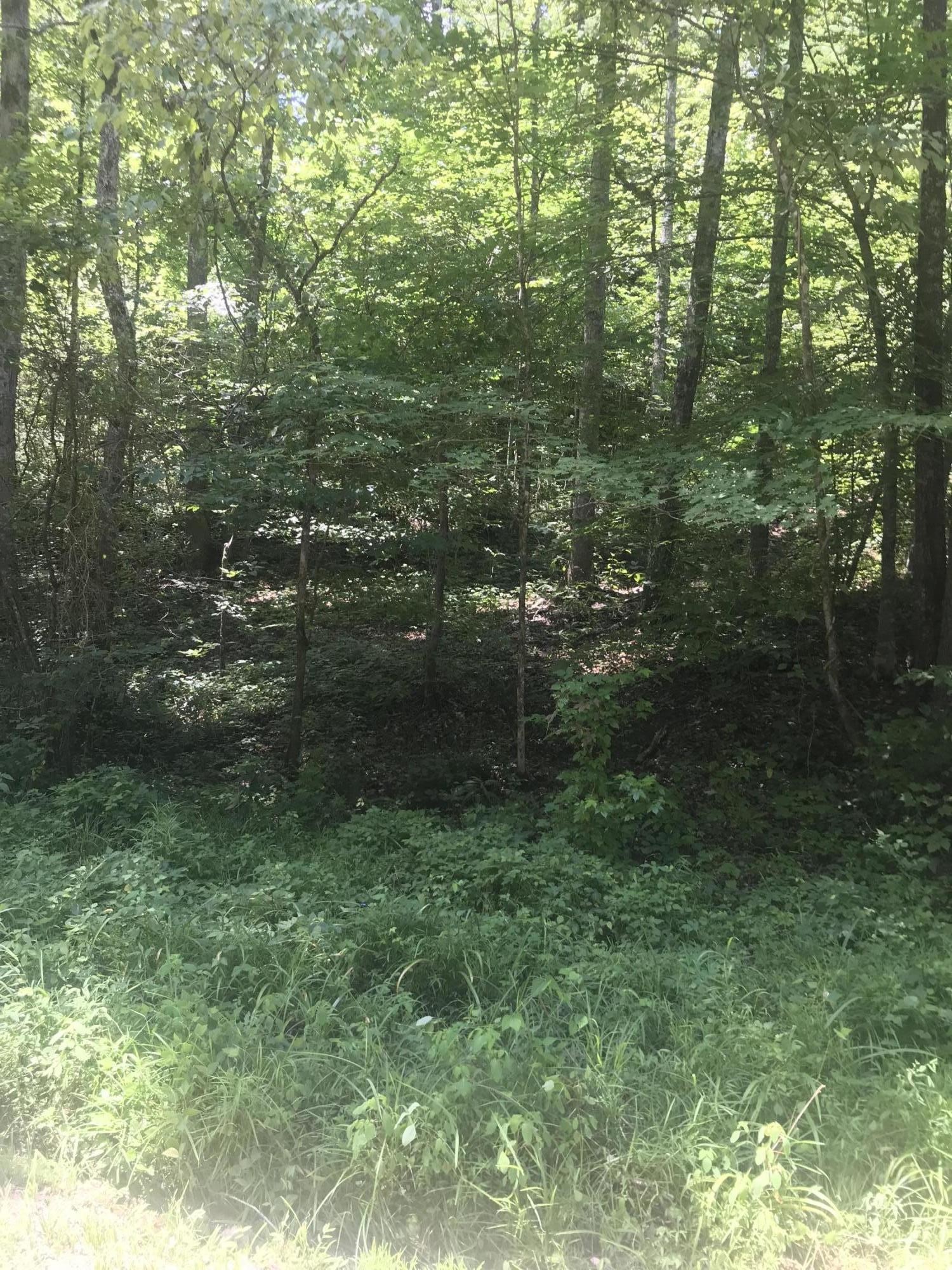 11 Lone Mountain Road Andersonville, TN 37705 - Photo 3 of 10 Gallery Image 3
