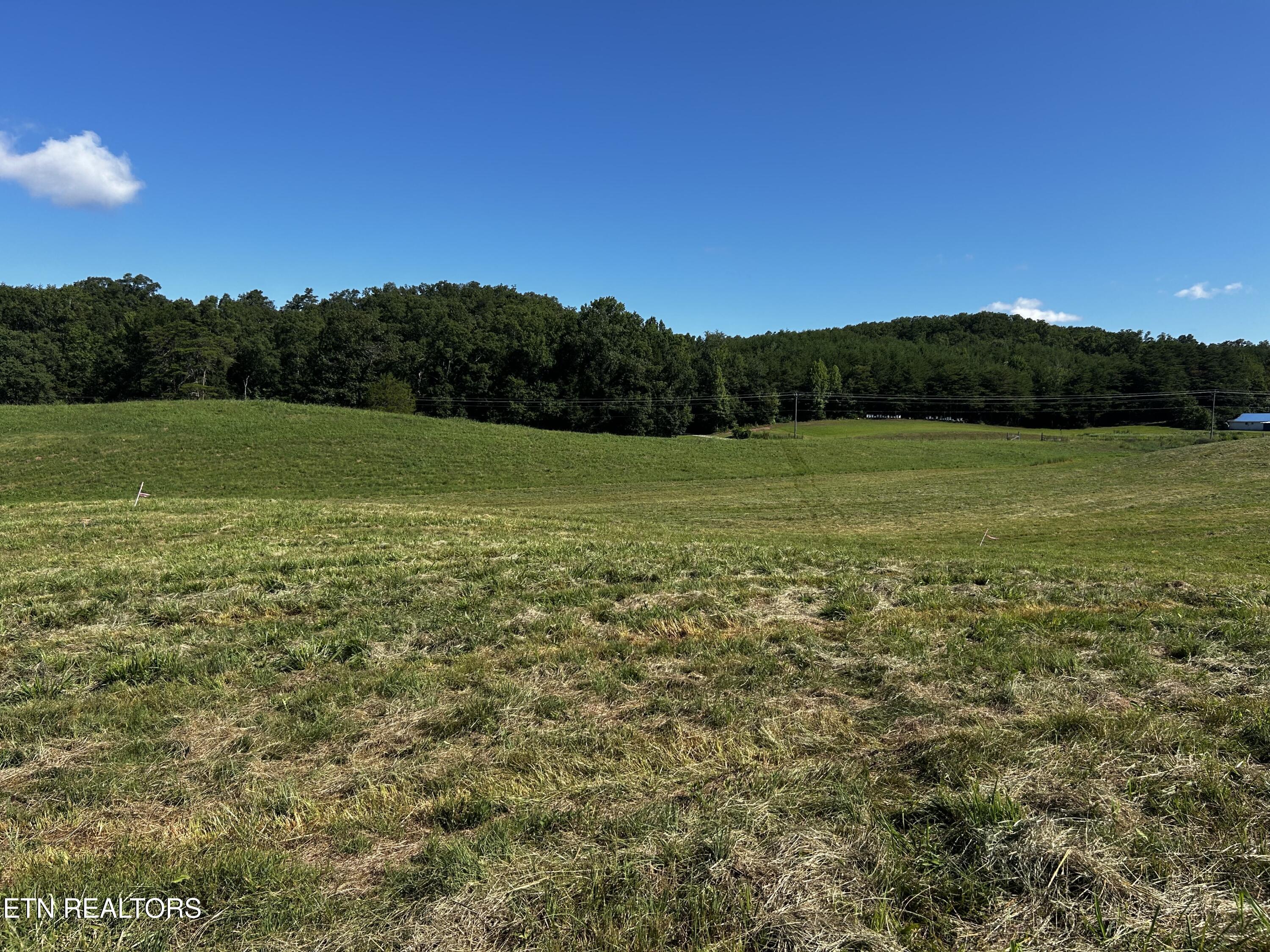 Lot 6 Reliance Road Tellico Plains, TN 37385 - Photo 3 of 8 IMG_6941