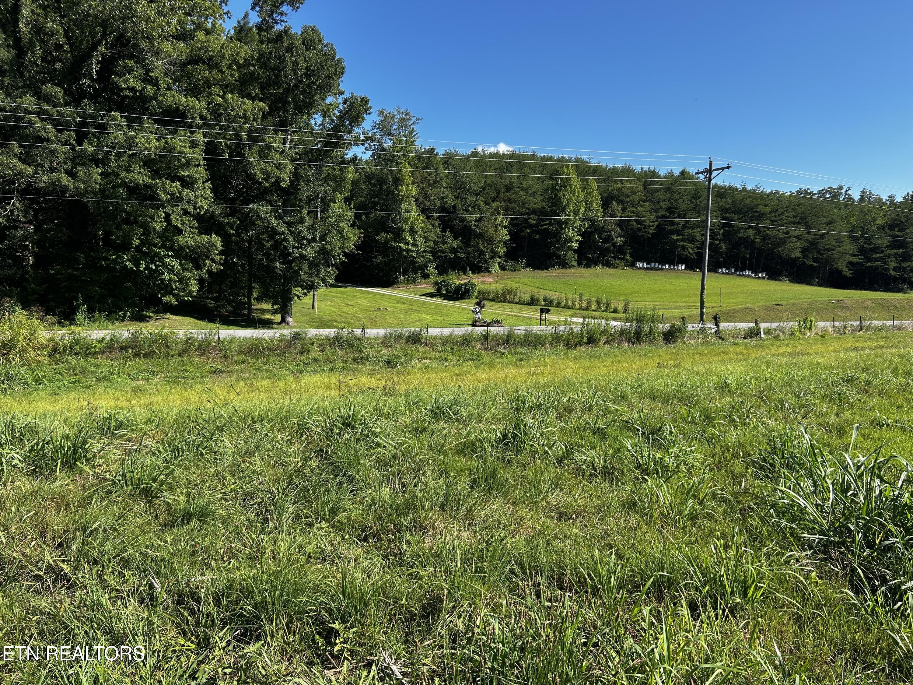Lot 6 Reliance Road Tellico Plains, TN 37385 - Photo 4 of 8 IMG_6940