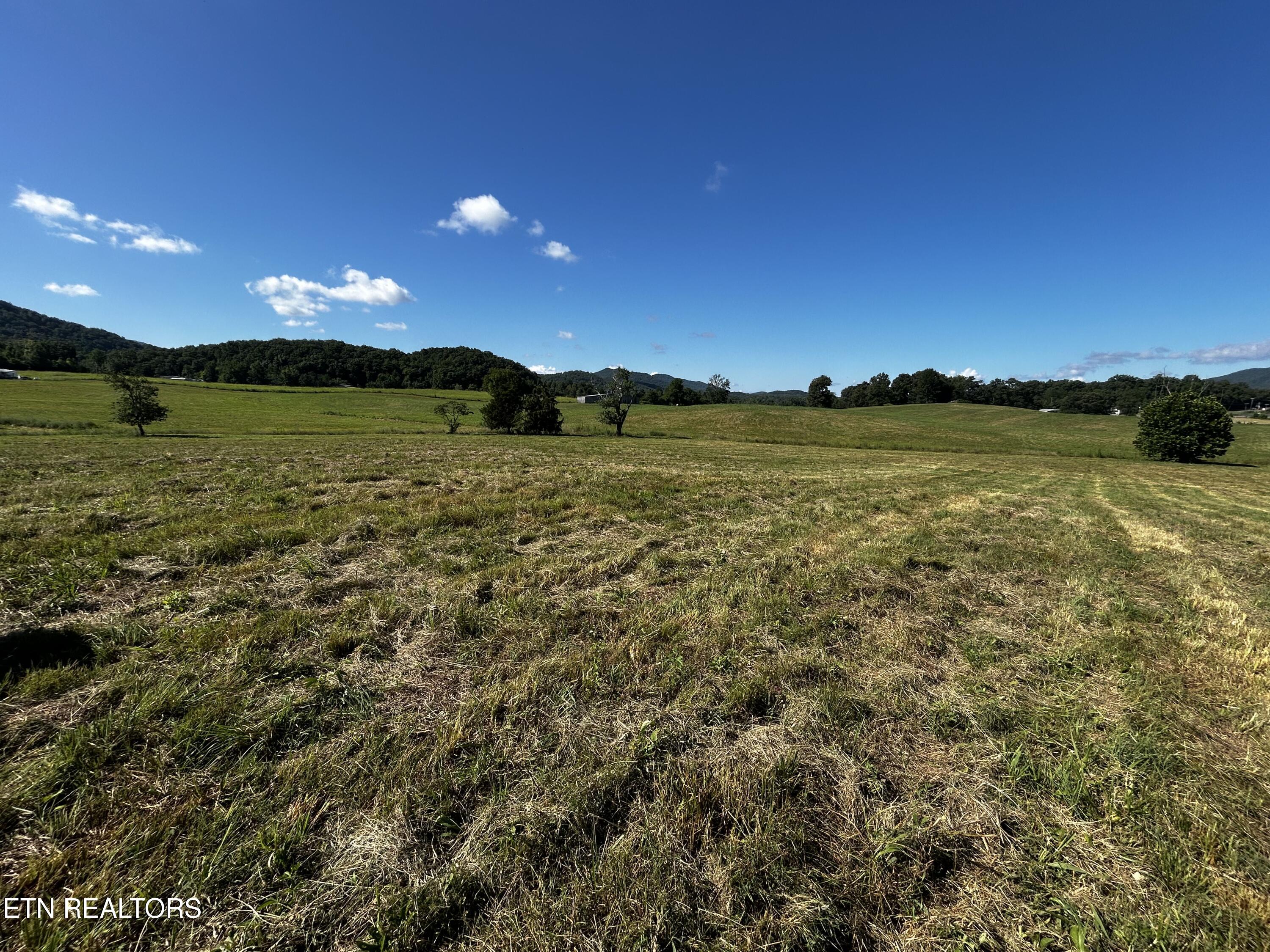 Lot 6 Reliance Road Tellico Plains, TN 37385 - Photo 5 of 8 IMG_6944