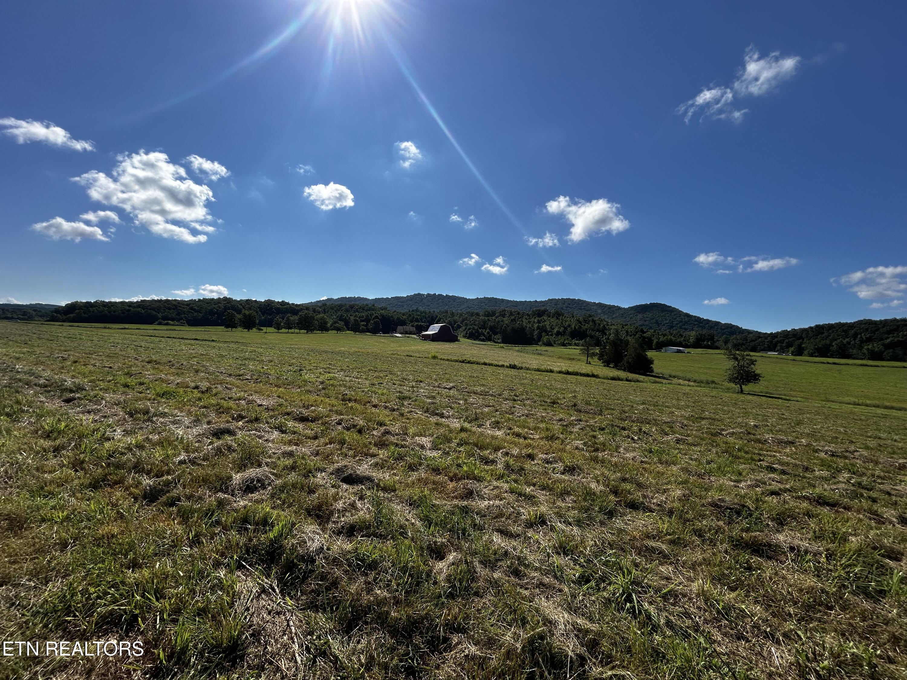 Lot 6 Reliance Road Tellico Plains, TN 37385 - Photo 6 of 8 IMG_6946