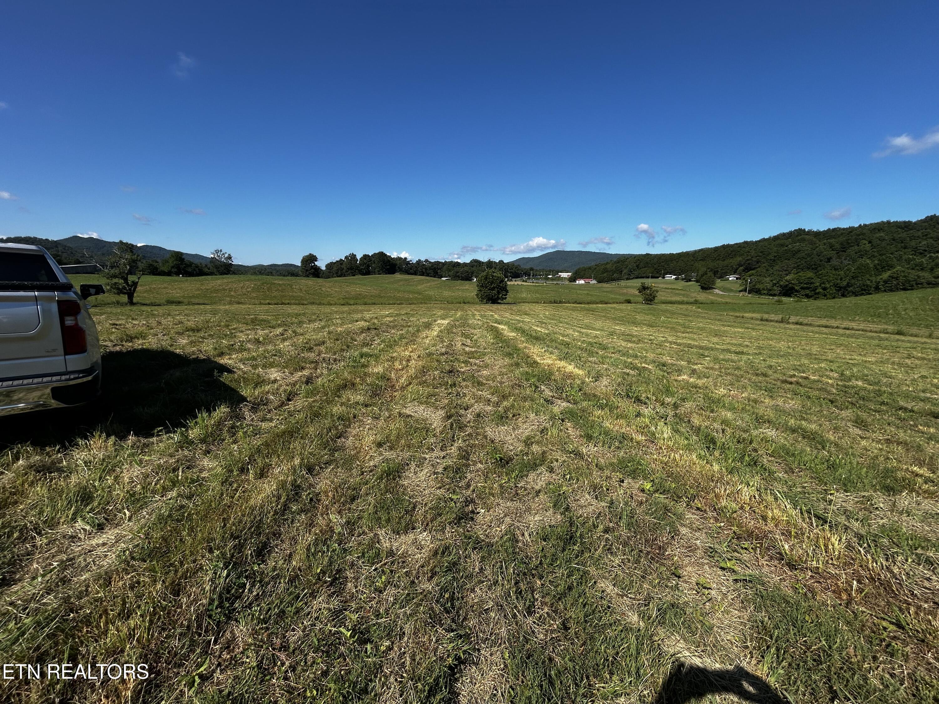 Lot 6 Reliance Road Tellico Plains, TN 37385 - Photo 8 of 8 IMG_6943