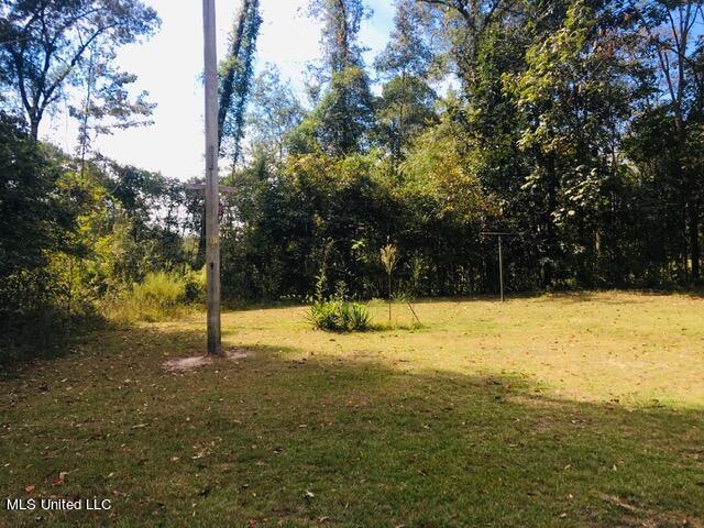 2 Turner Loop New Augusta, MS 39462 - Photo 11 of 13 IMG_7441