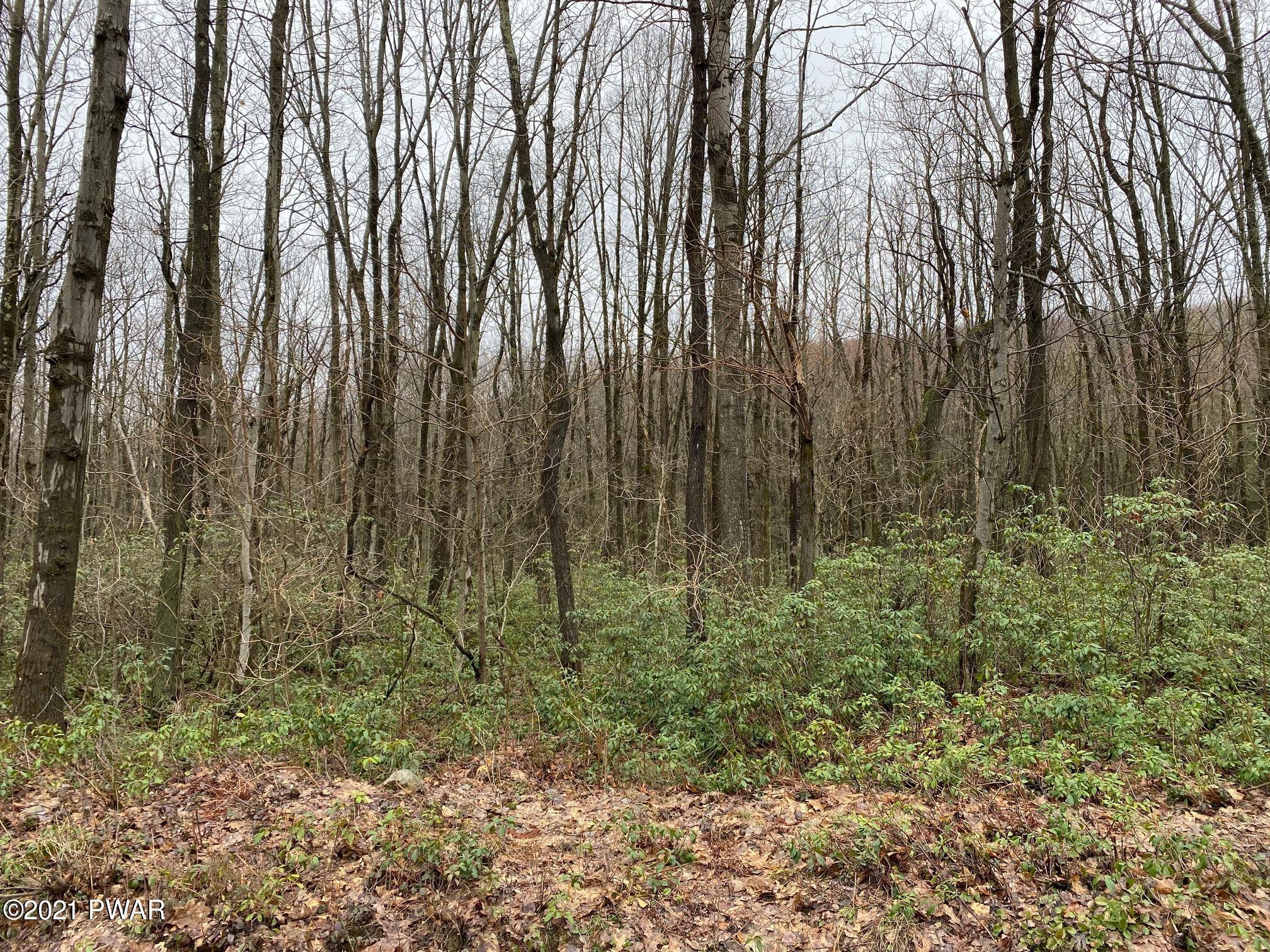 Fox Road Waymart, PA 18472 - Photo 1 of 2